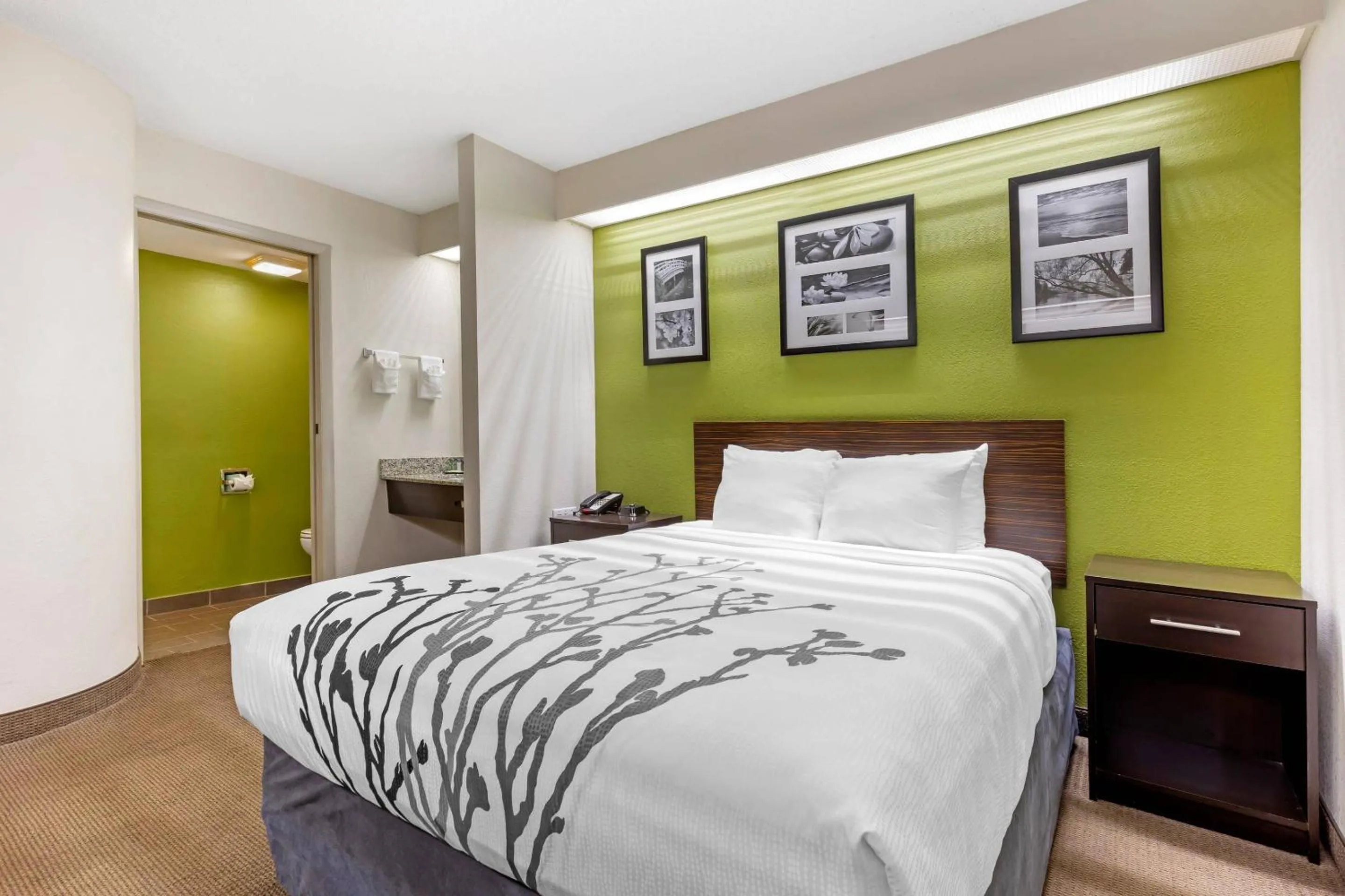 Bedroom, Bed in Sleep Inn at Greenville Convention Center