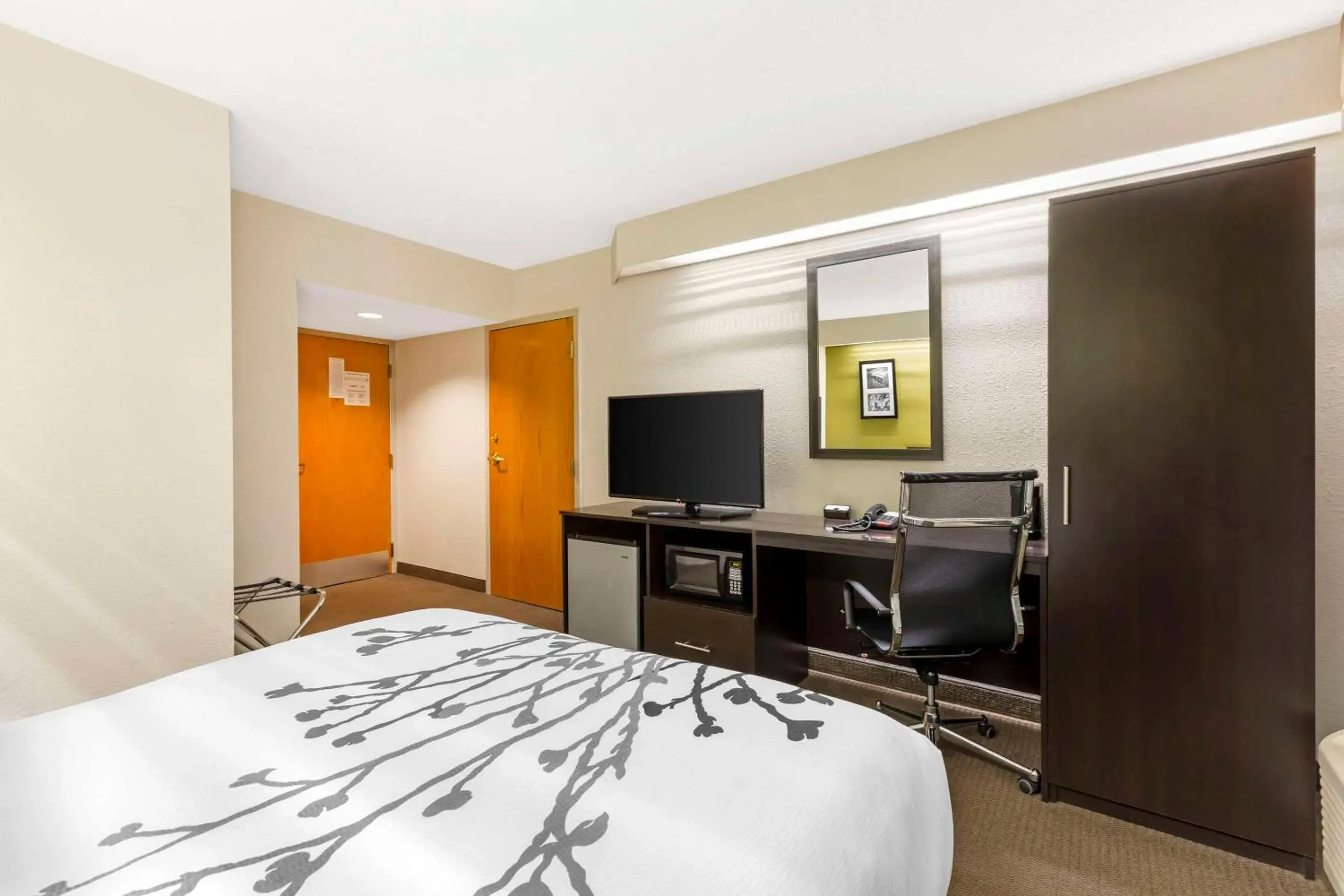 TV and multimedia, Bed in Sleep Inn at Greenville Convention Center TV and multimedia, Bed in Sleep Inn at Greenville Convention Center