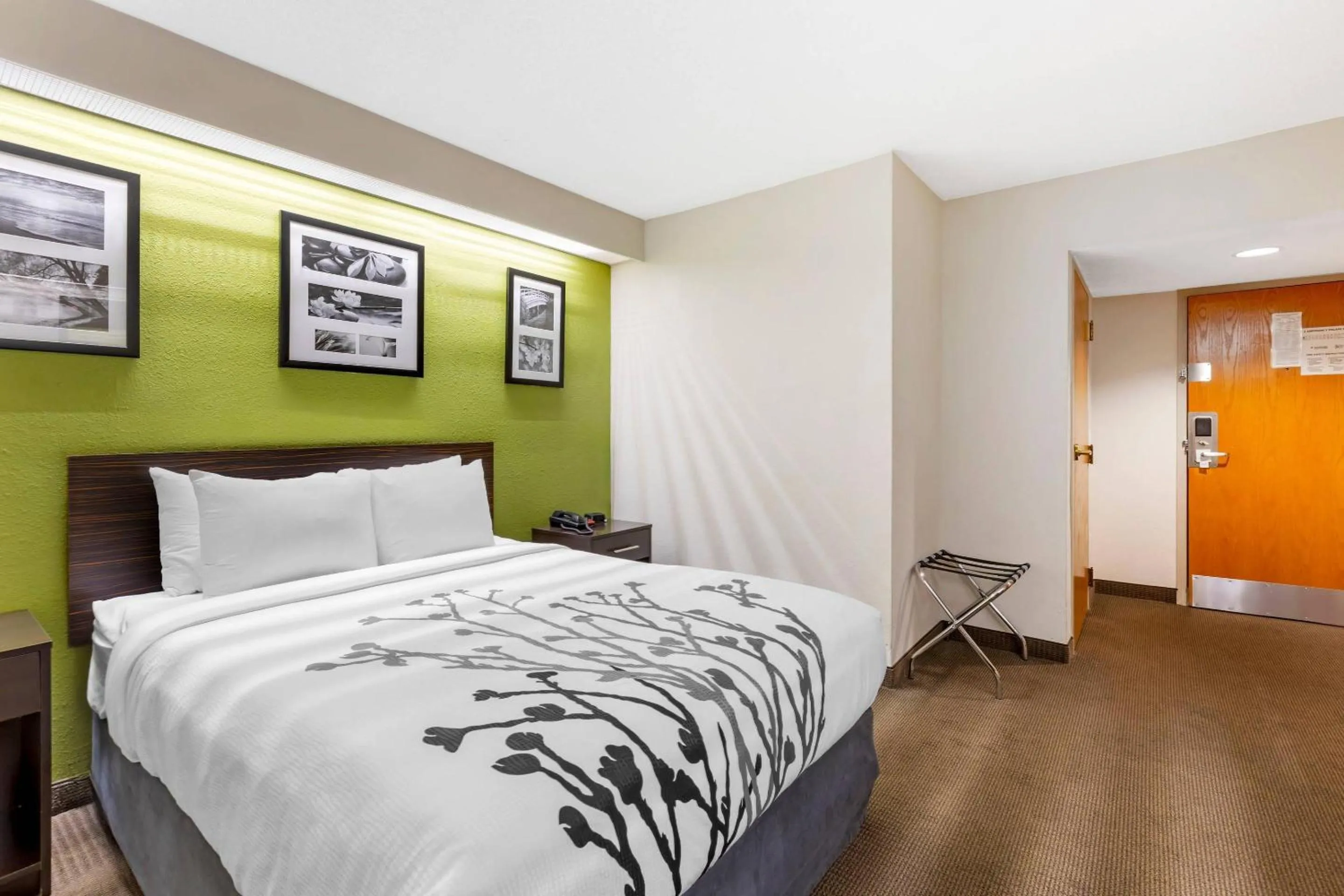 Bedroom, Bed in Sleep Inn at Greenville Convention Center