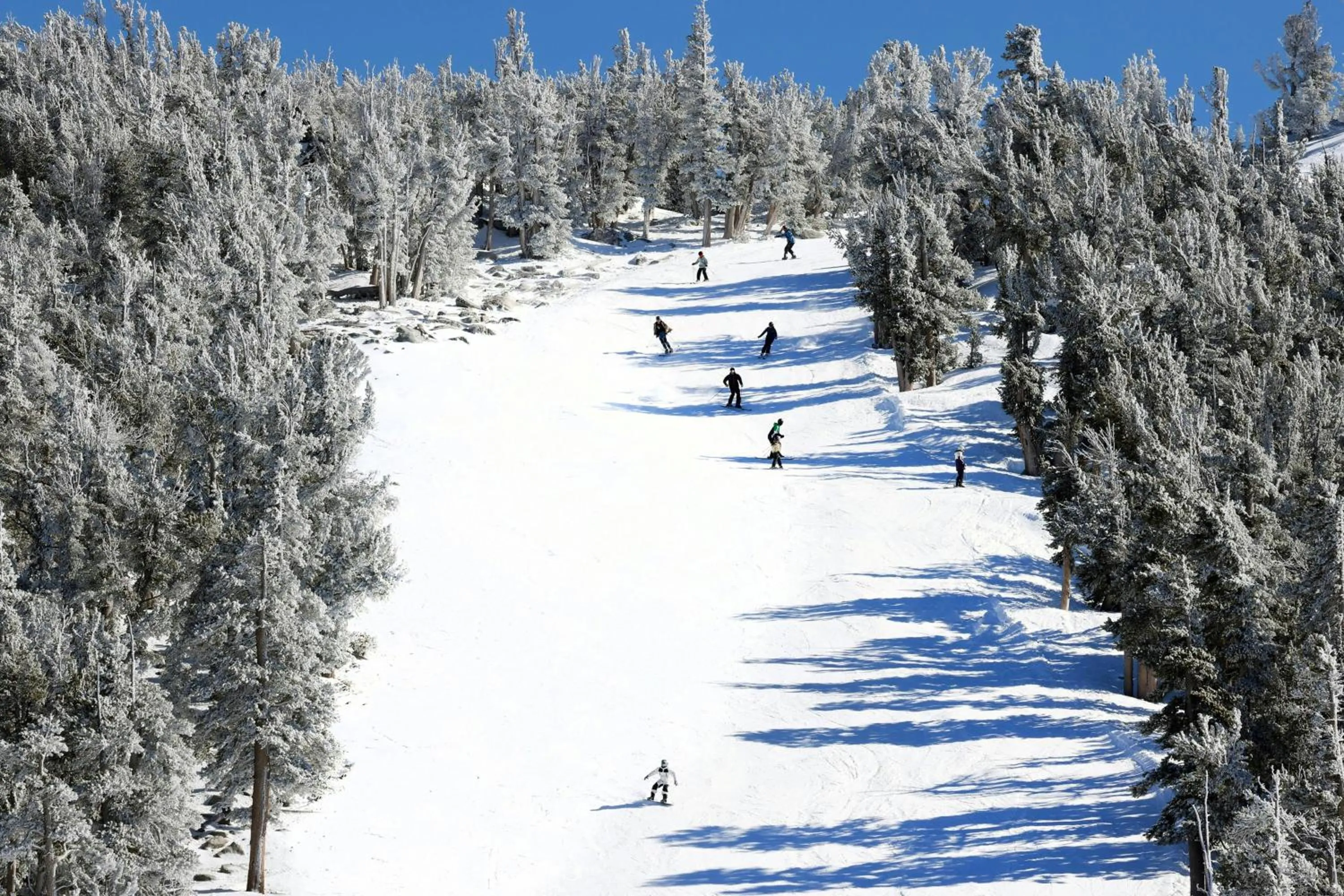 Other in Marriott's Timber Lodge