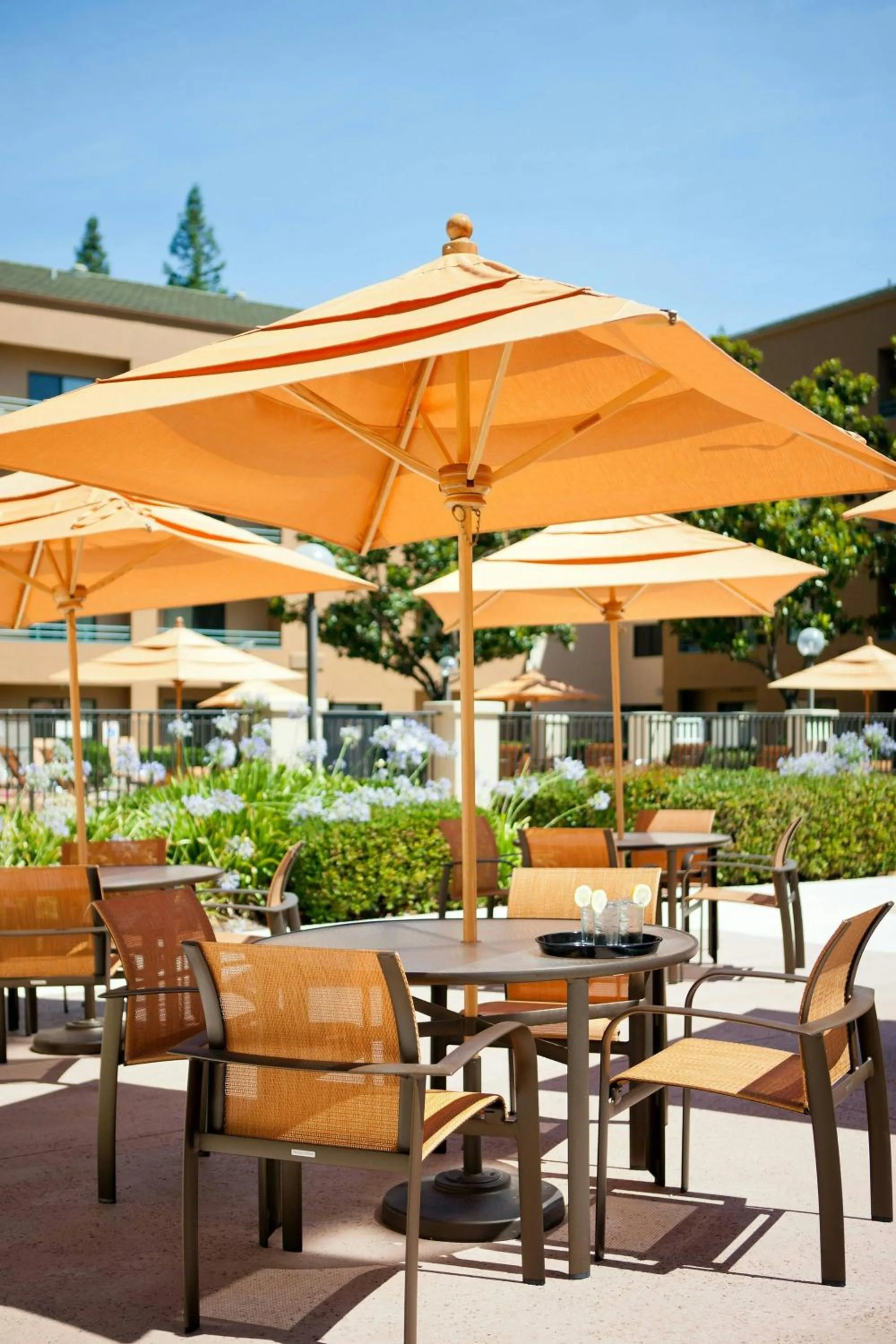 View (from property/room) in Courtyard Sacramento Airport Natomas