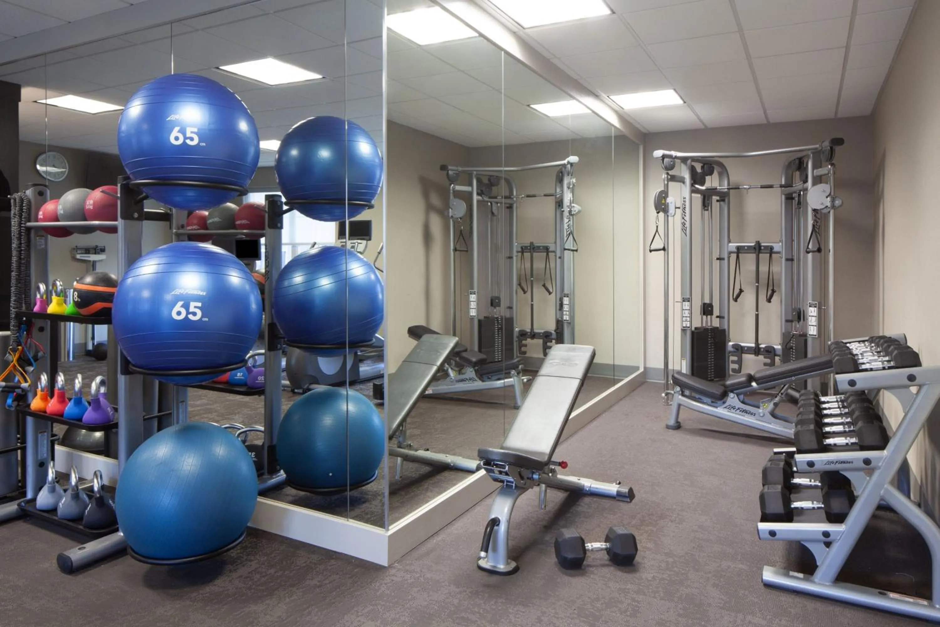 Fitness centre/facilities in Residence Inn by Marriott Newark Silicon Valley
