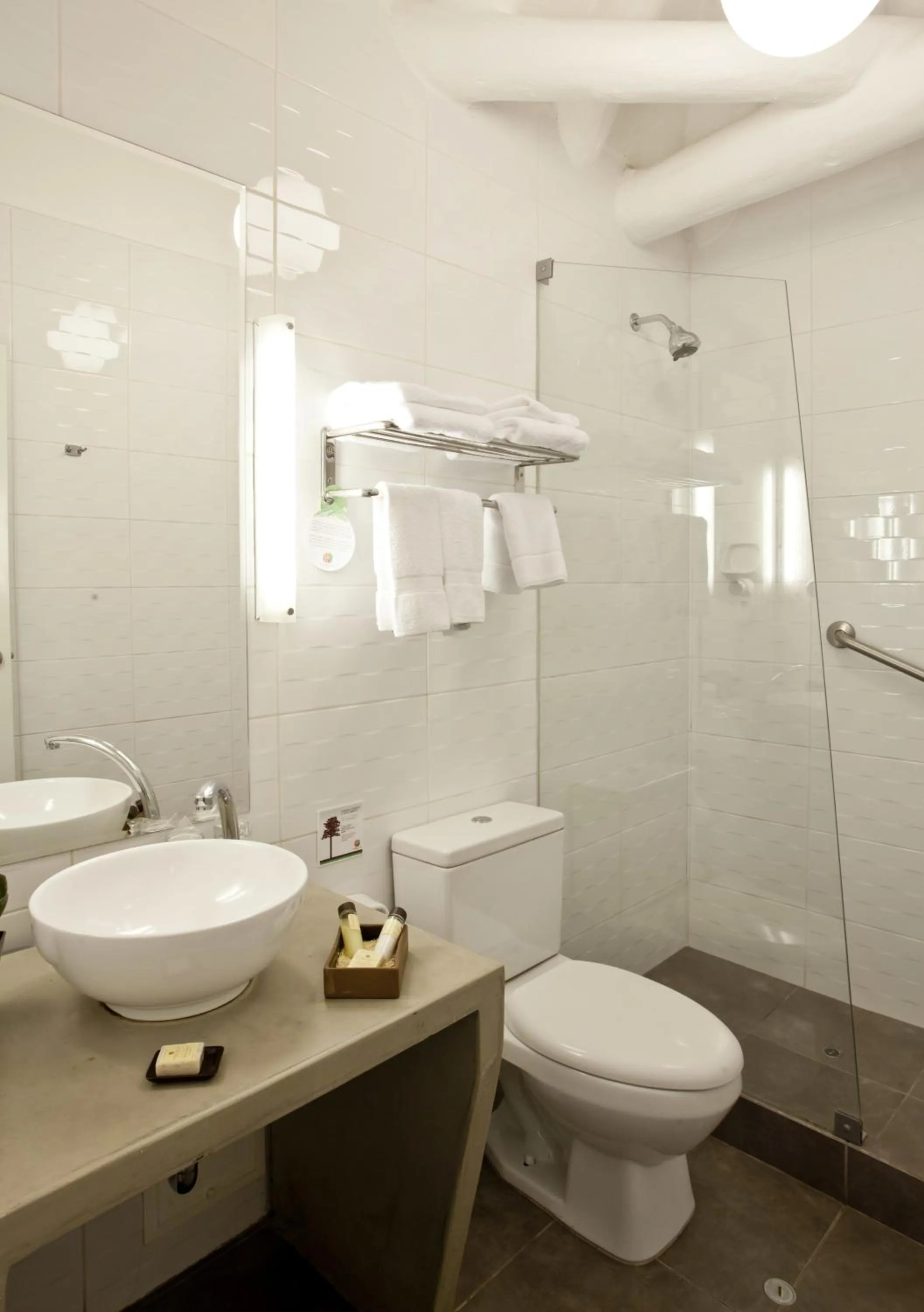 Toilet in Tierra Viva Cusco Saphi Hotel