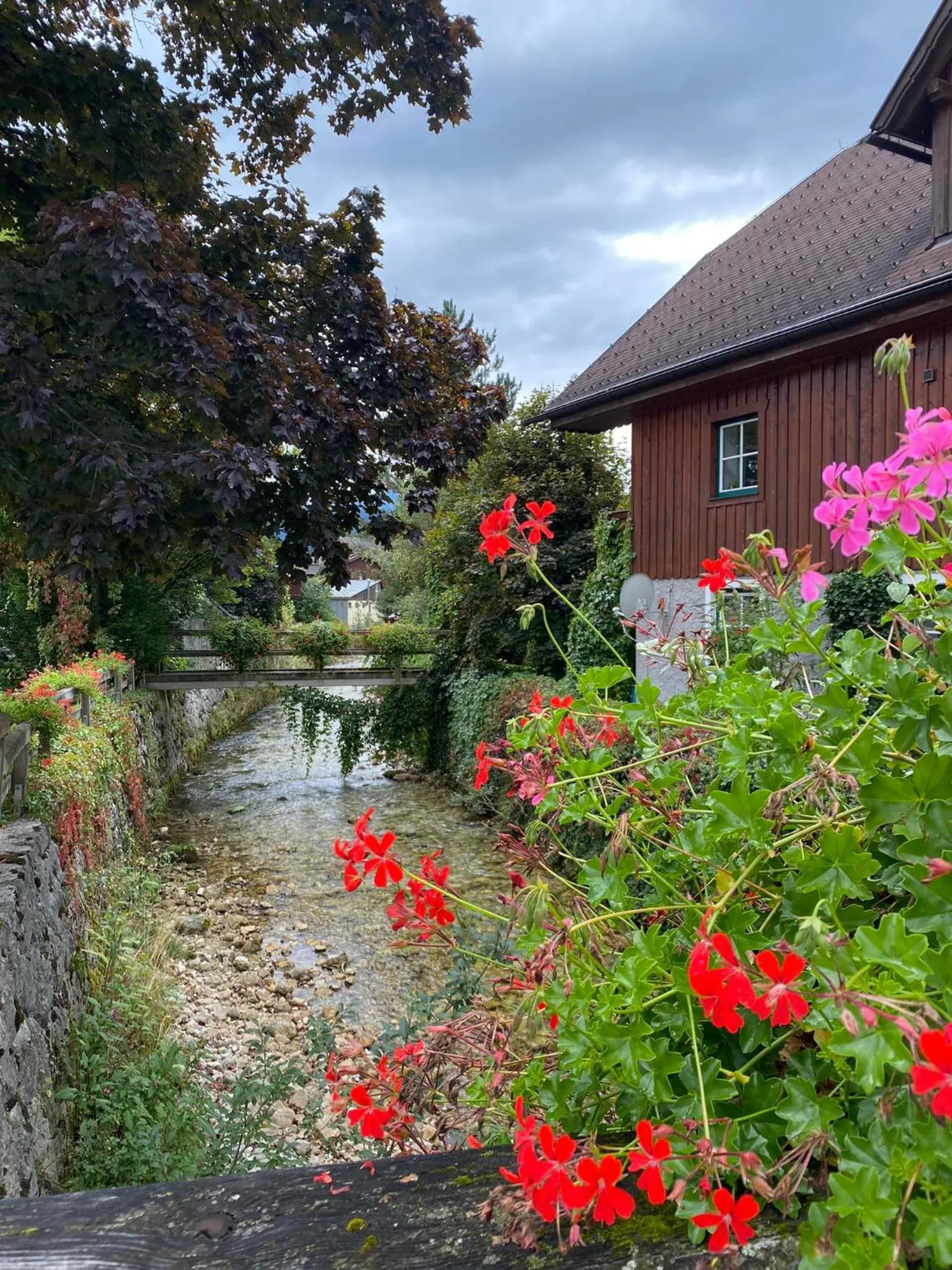 Natural landscape in Hotel Aquamarin