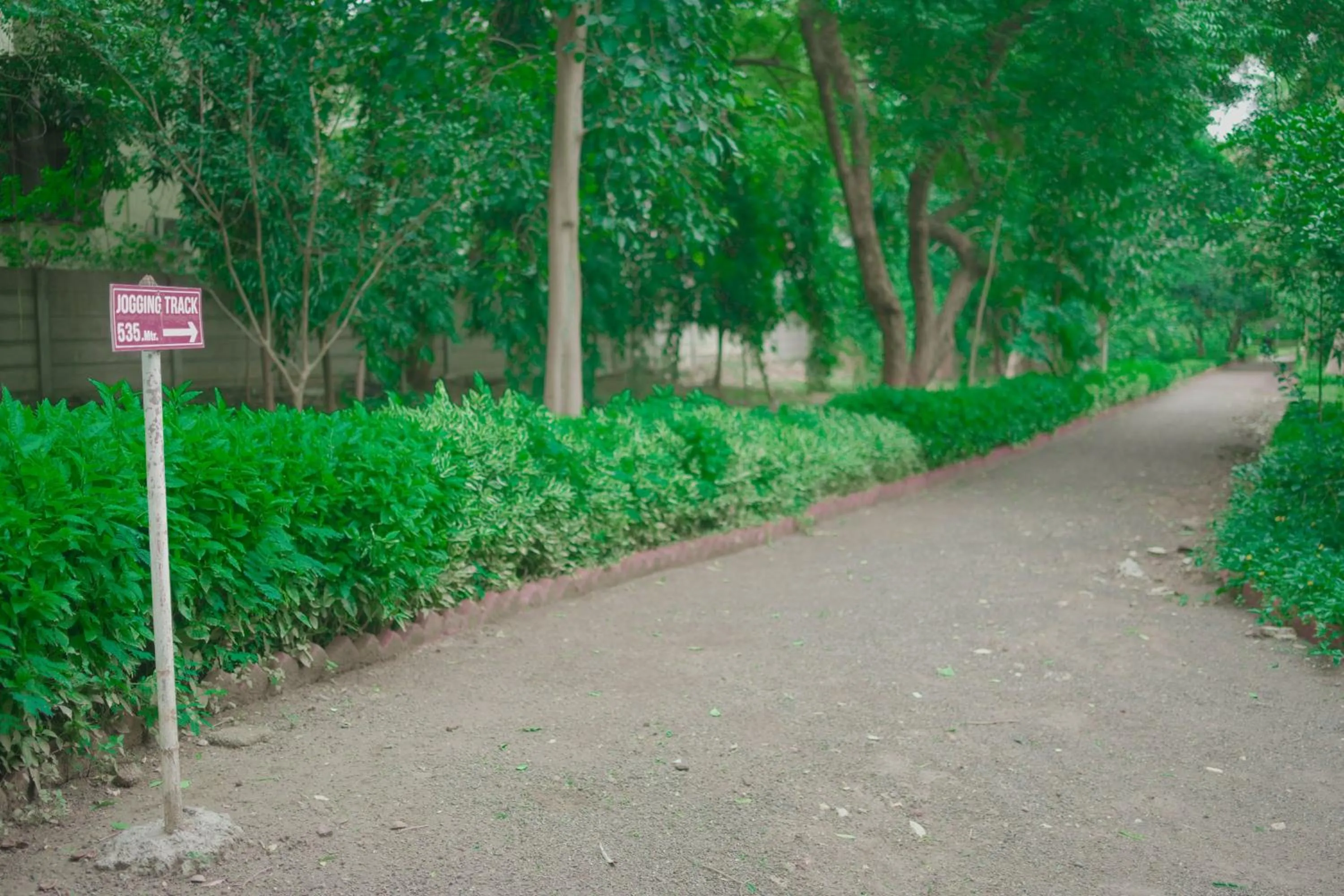 Garden in Ambassador Ajanta Hotel, Aurangabad