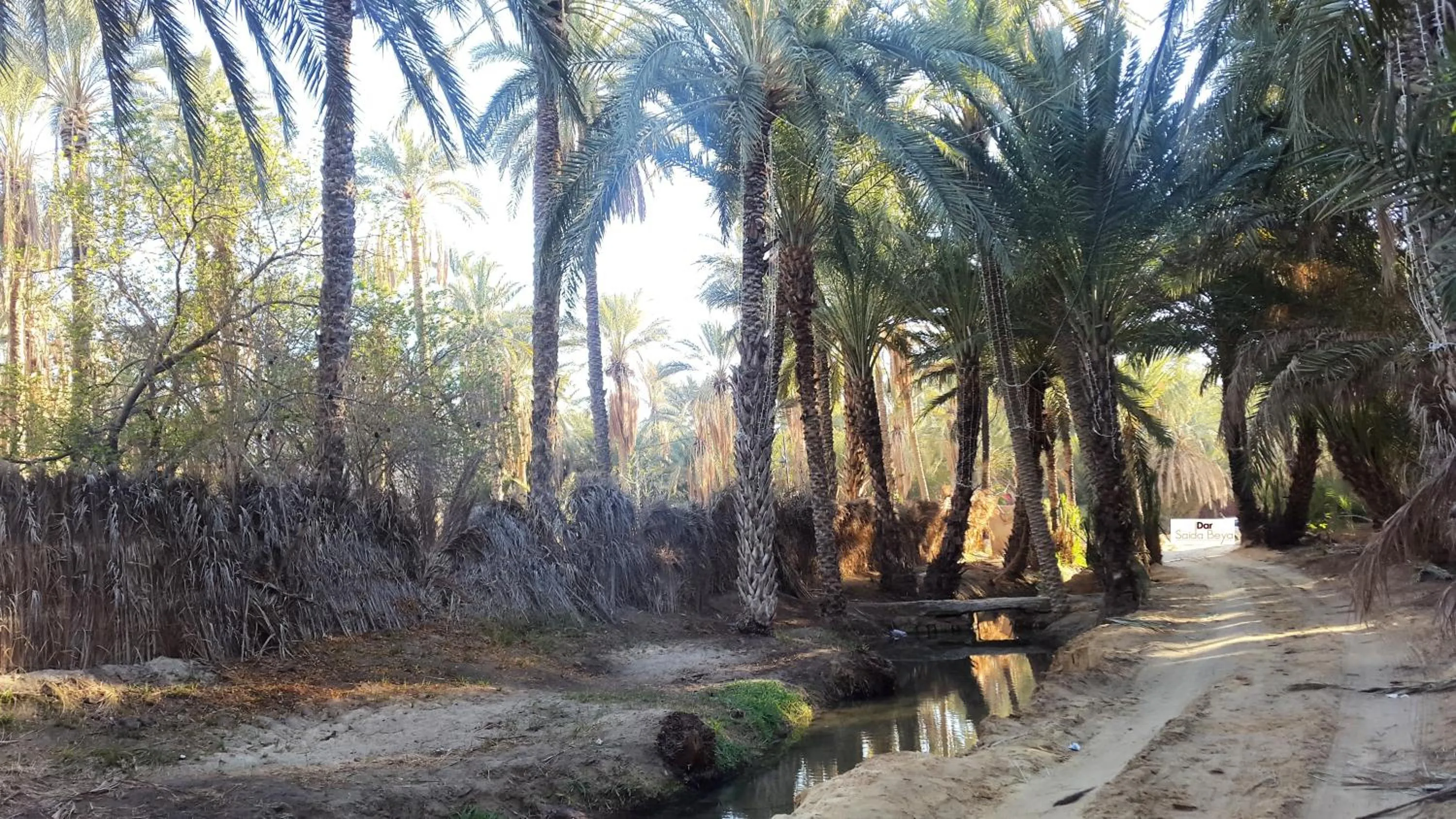 Natural landscape in Dar Saida Beya