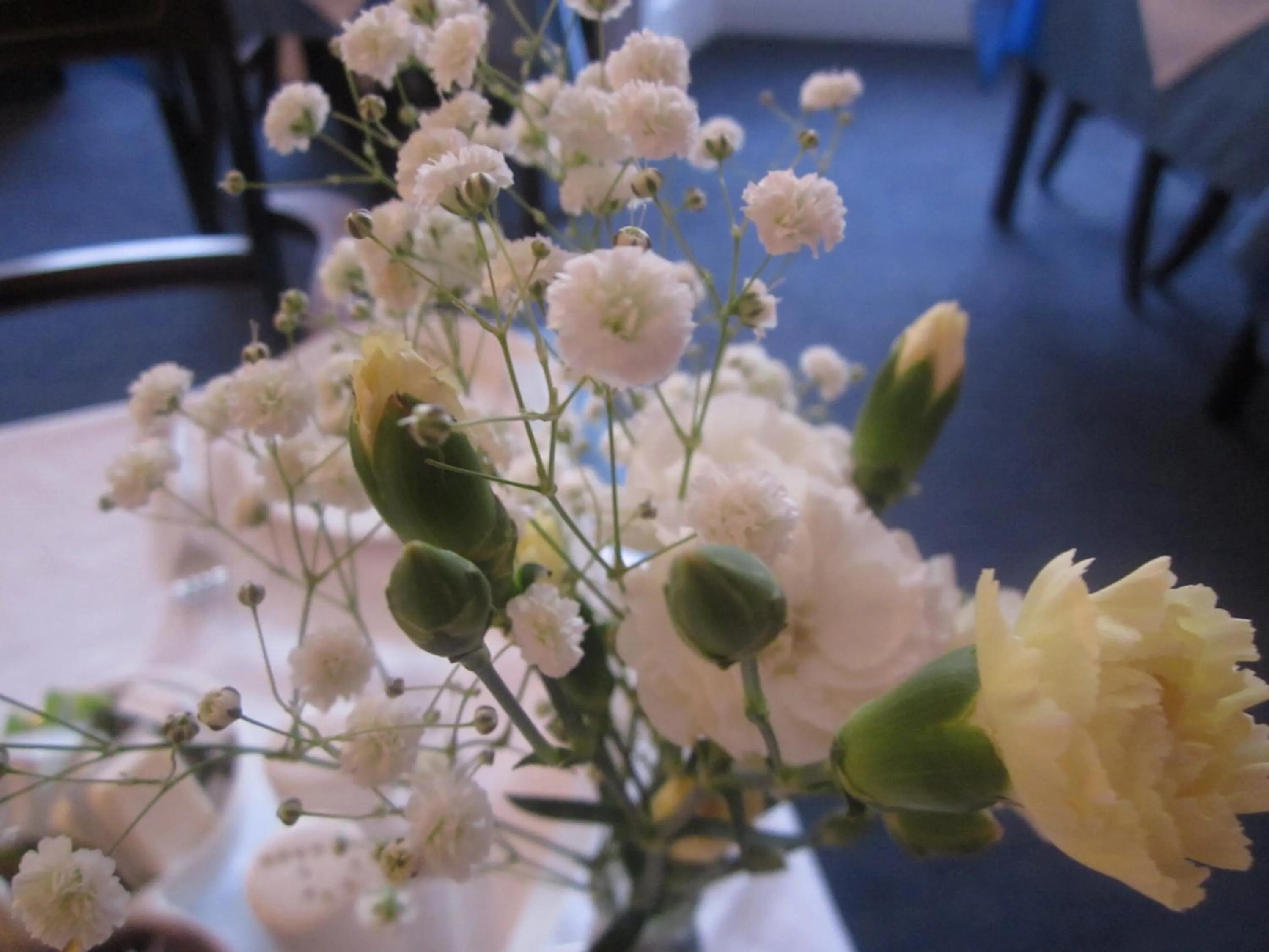 Other in Elder York Guest House