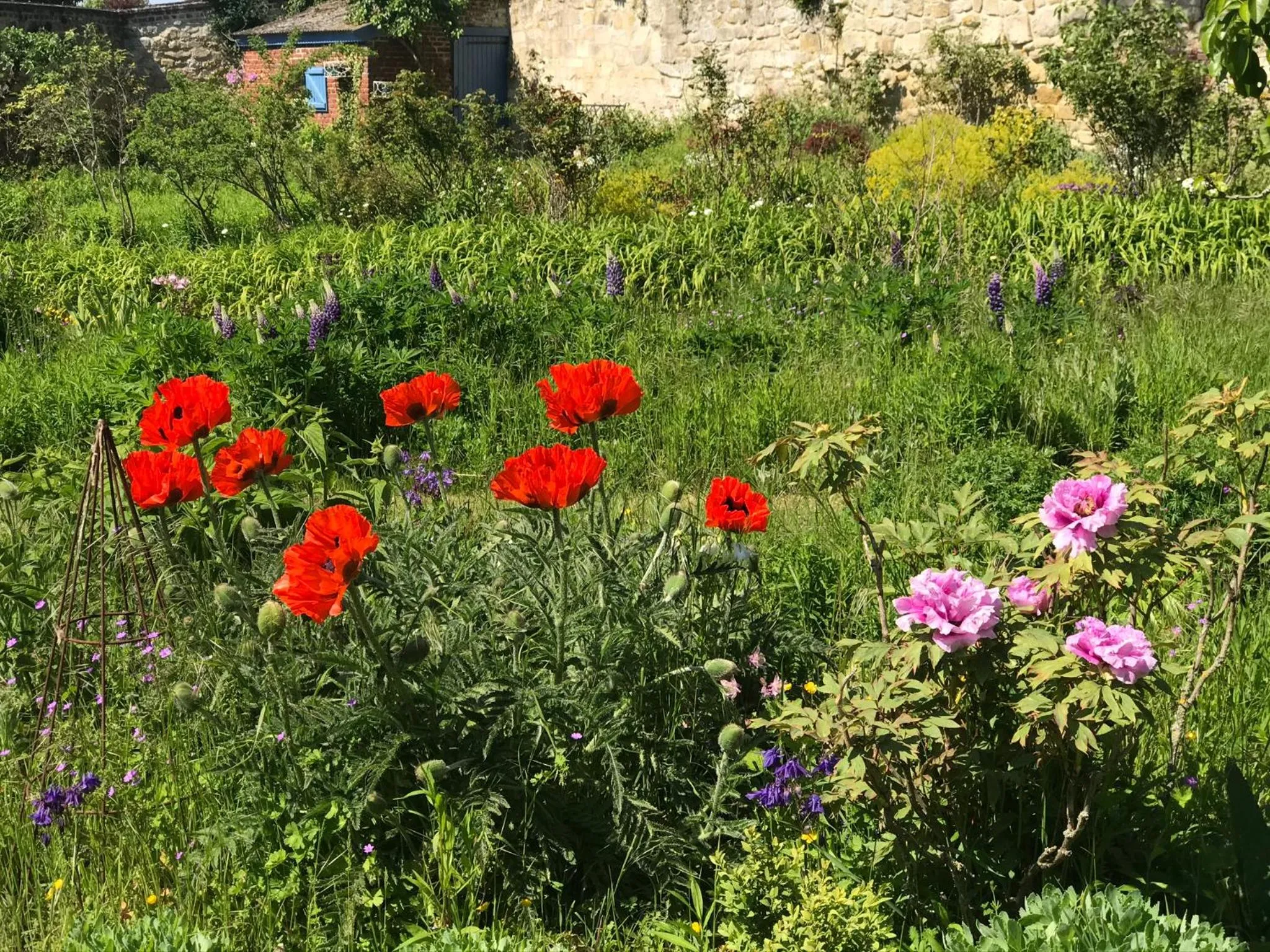 Chambre d'hôtes "COQUELICOT"