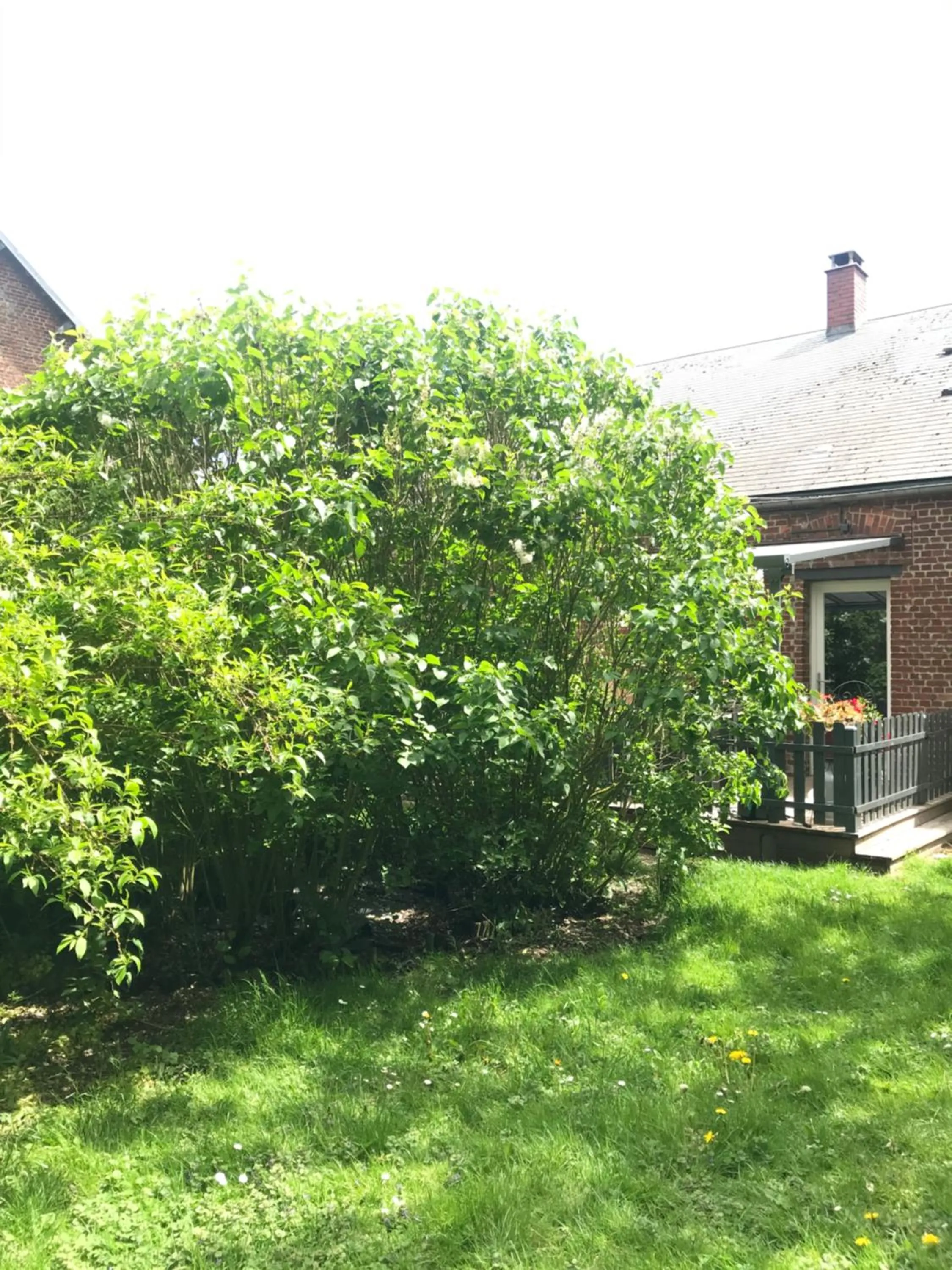 Chambre d'hôtes "COQUELICOT"