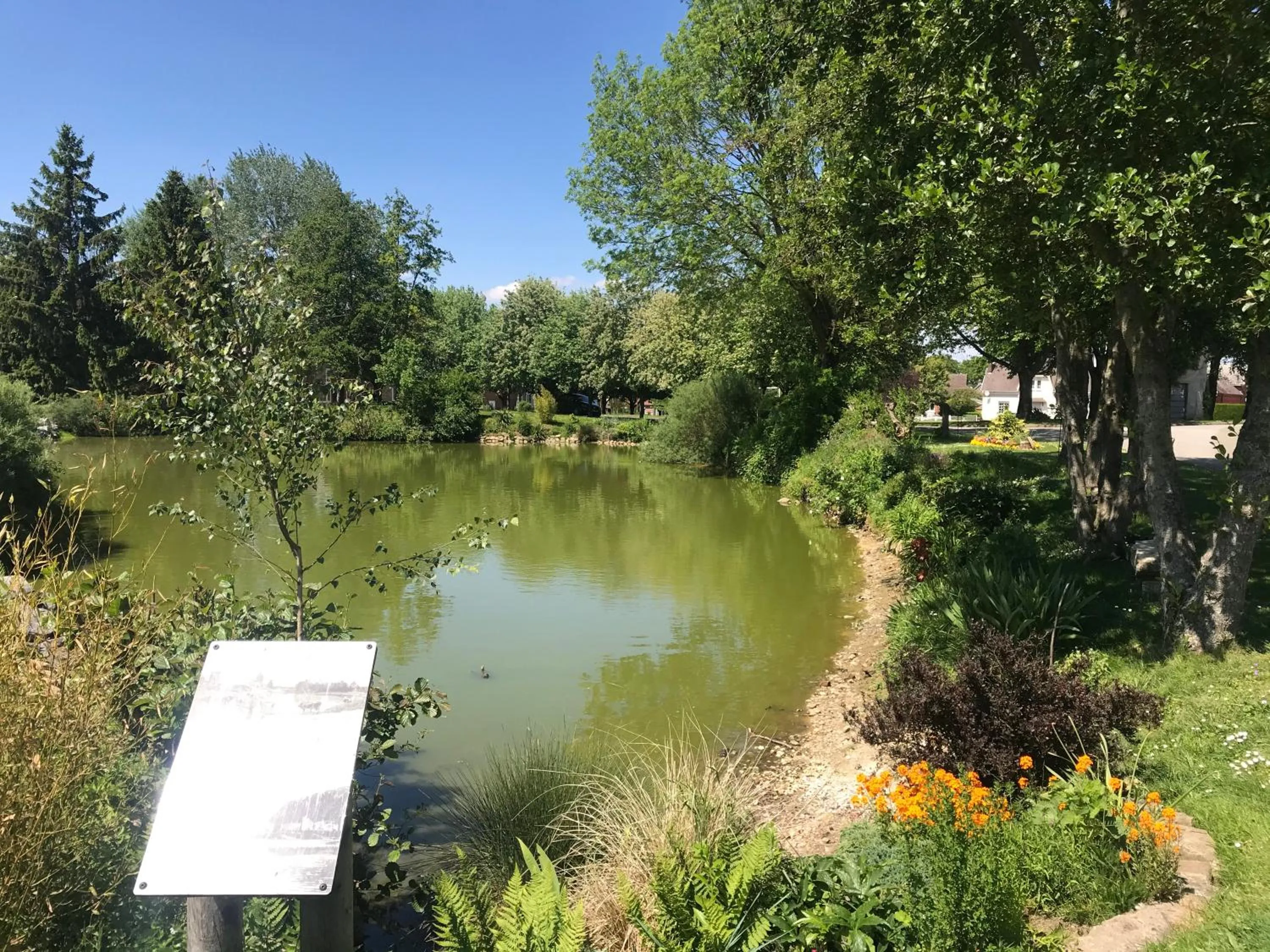 Chambre d'hôtes "COQUELICOT"