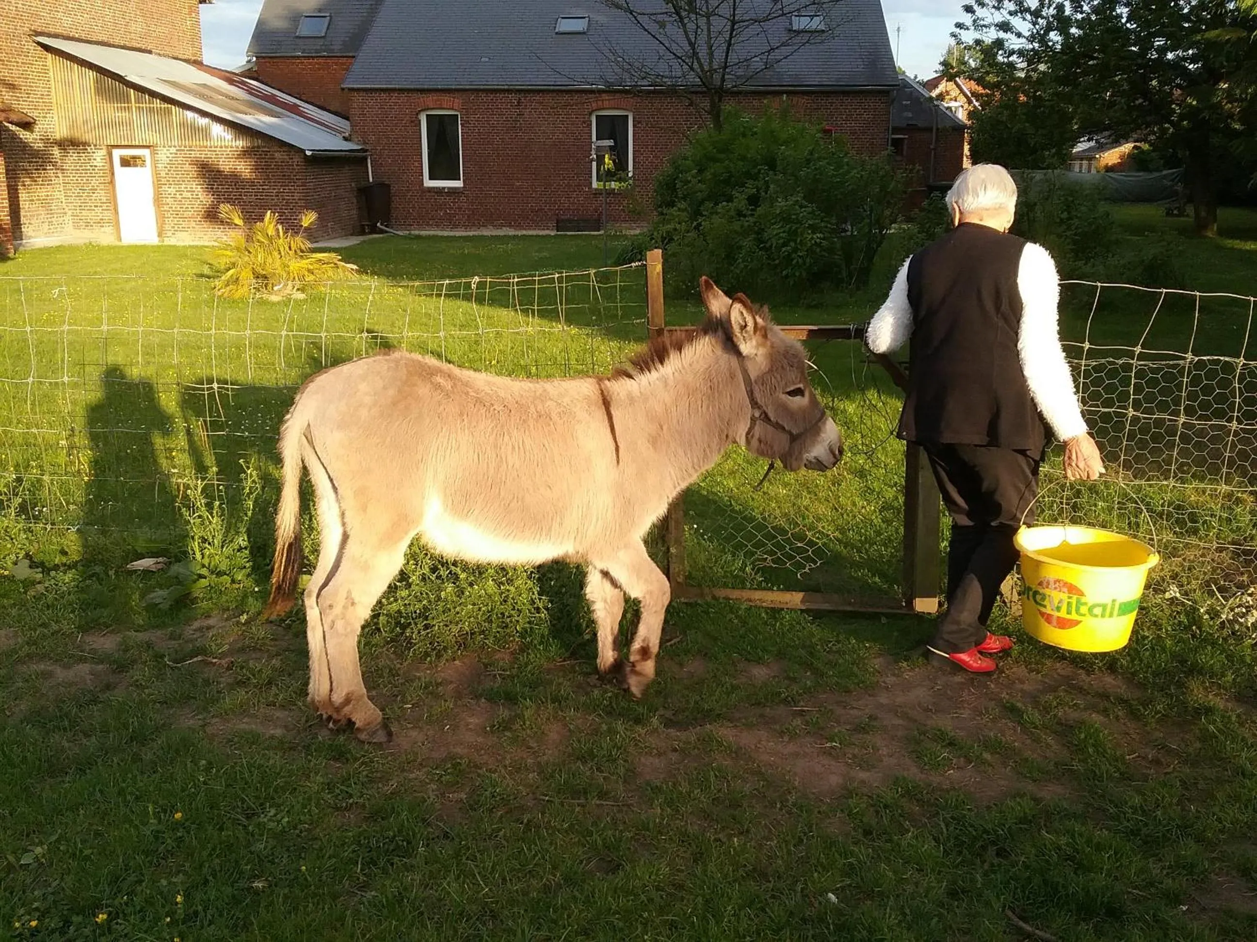 Pets in Chambre d'hôtes "COQUELICOT"