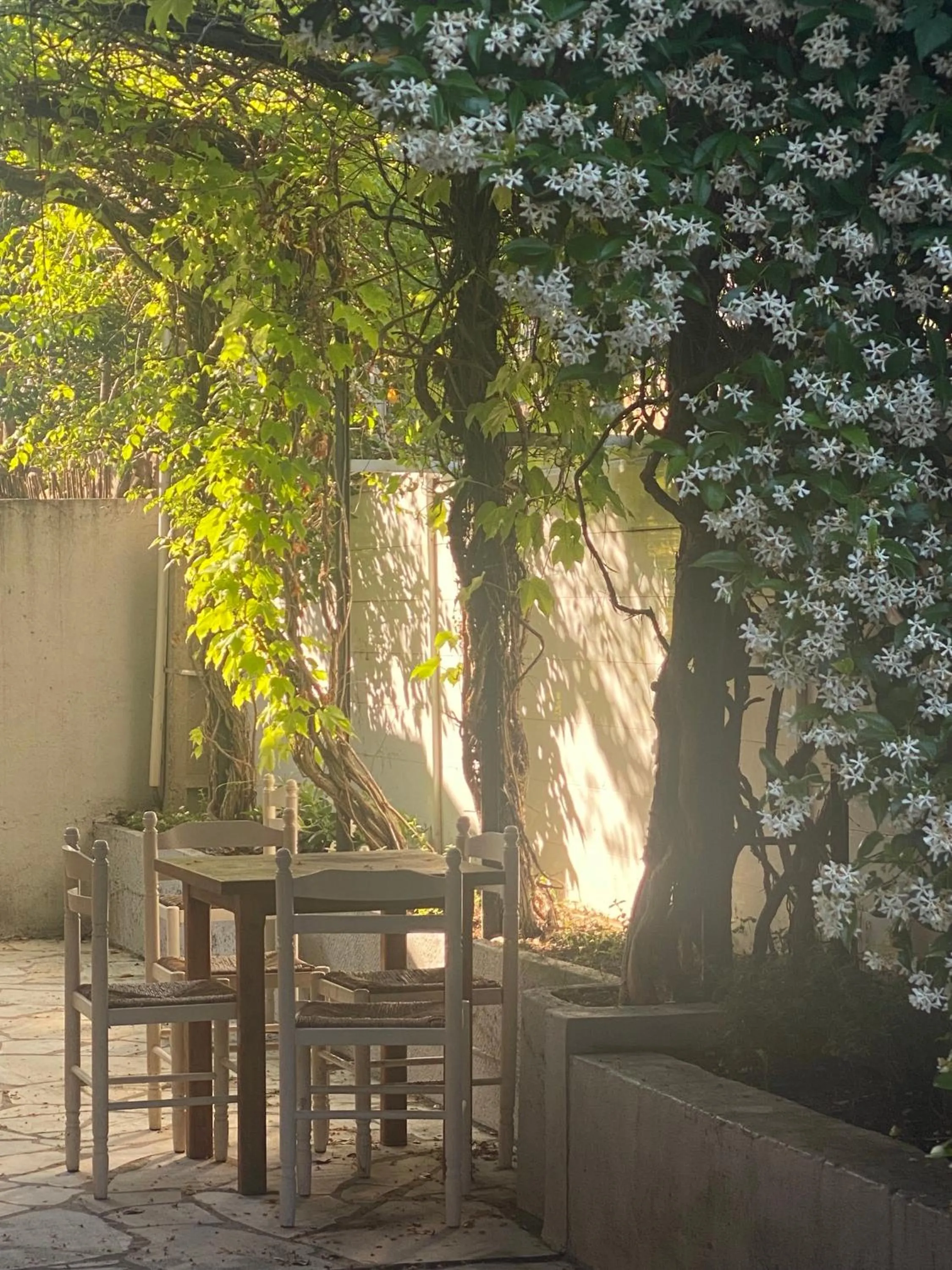 Balcony/Terrace in Hotel Princesse D'Azur