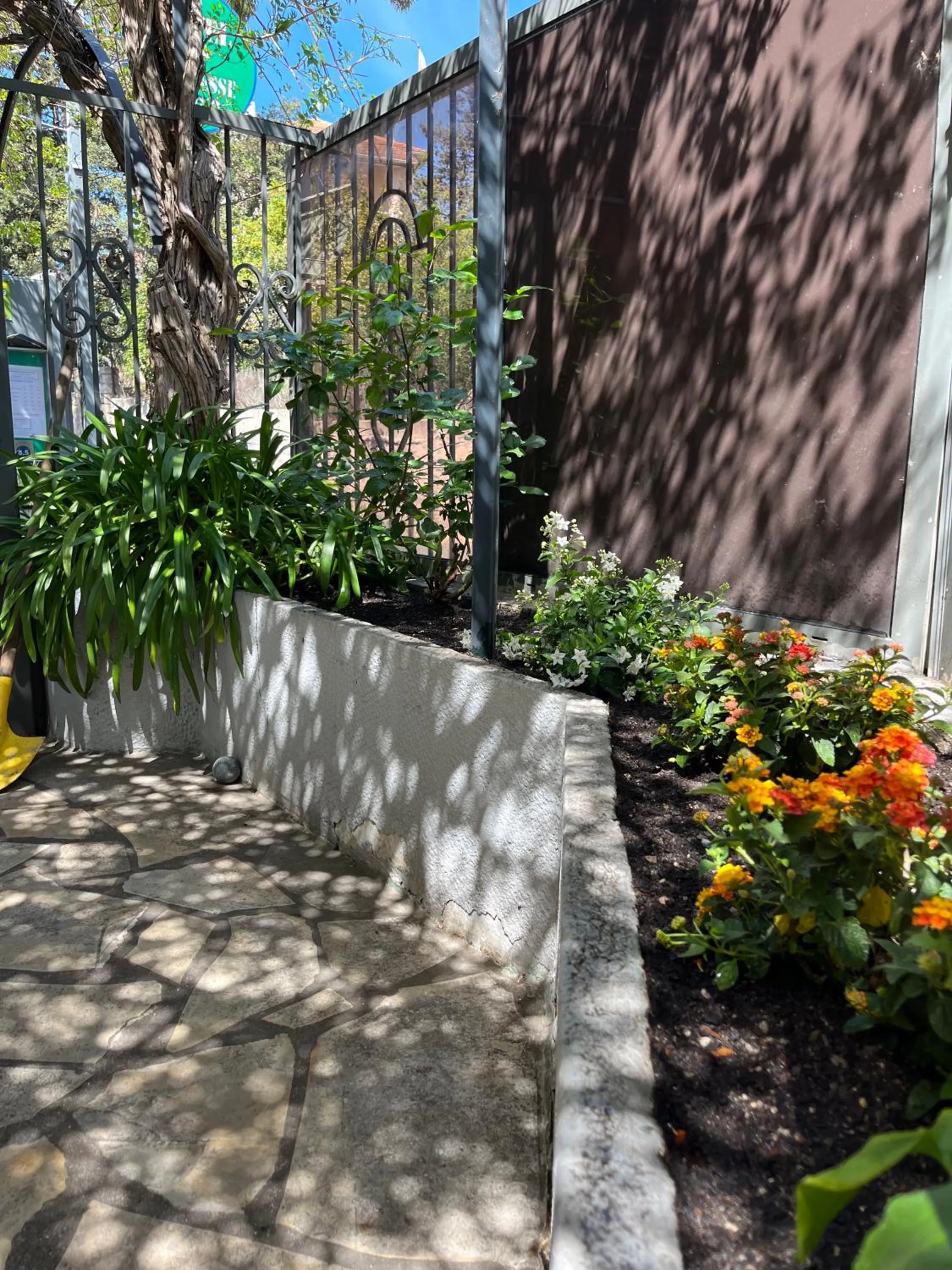 Garden in Hotel Princesse D'Azur