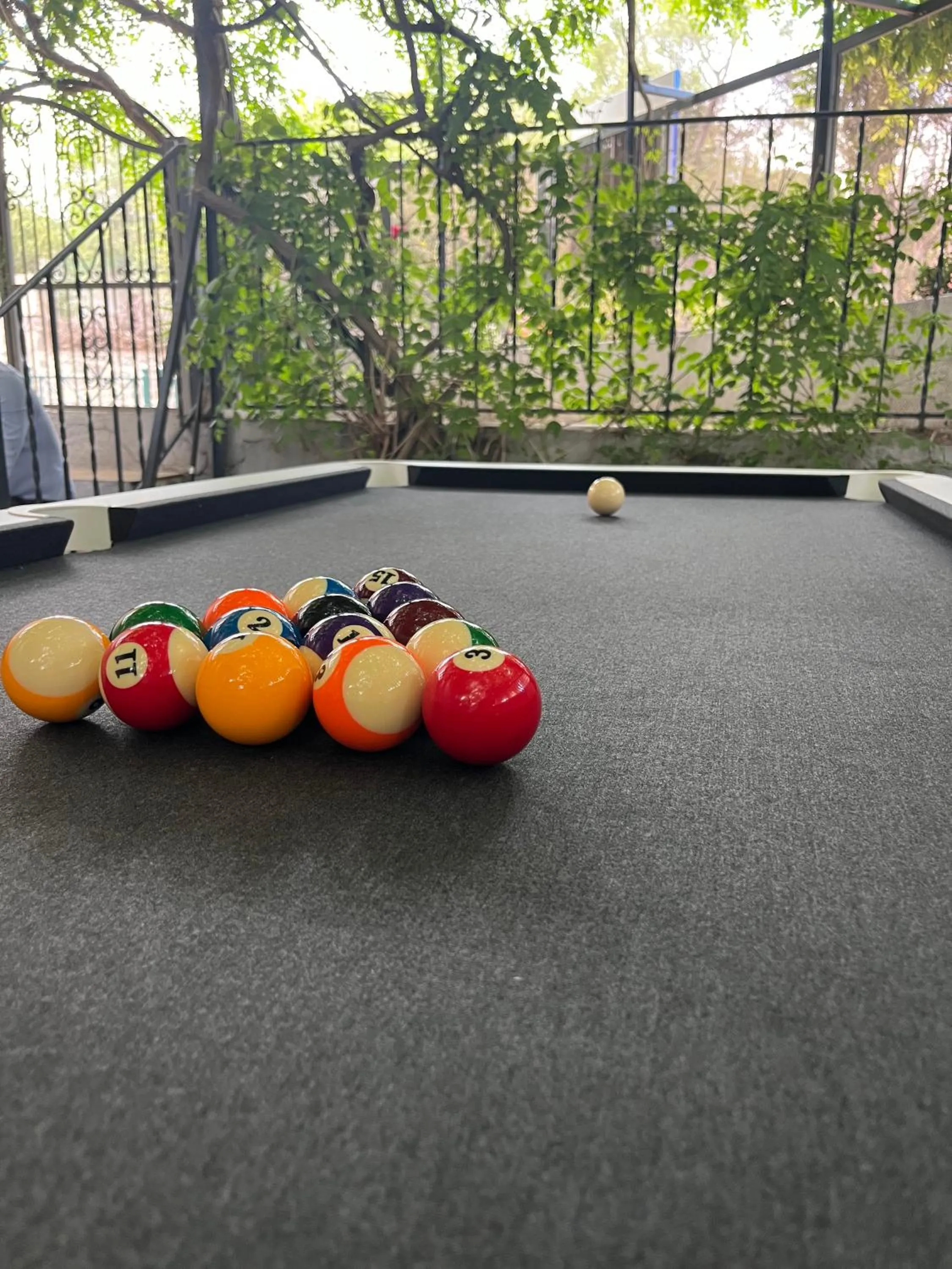 Activities in Hotel Princesse D'Azur