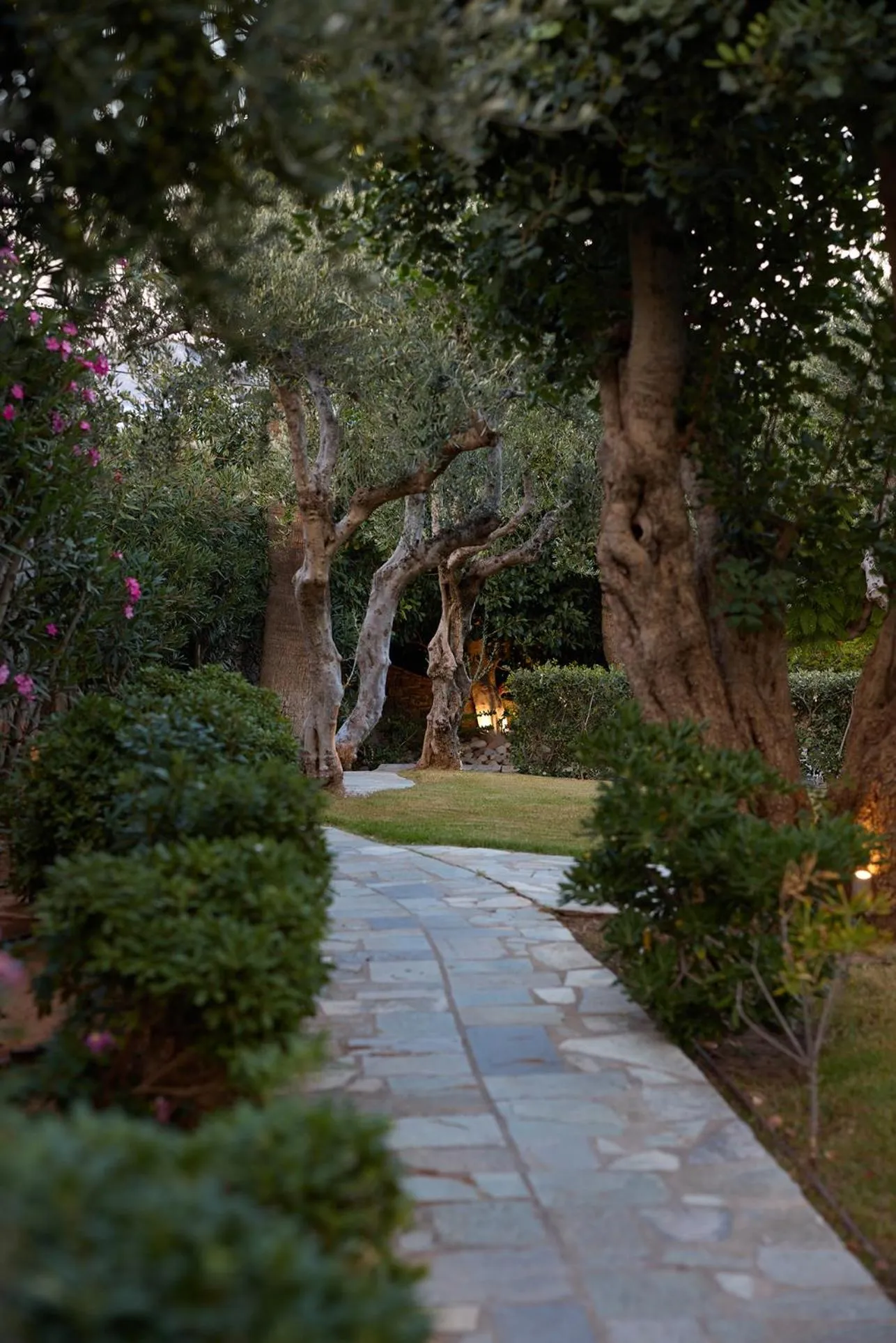 Natural landscape in Elounda Gulf Villas by Sandglass