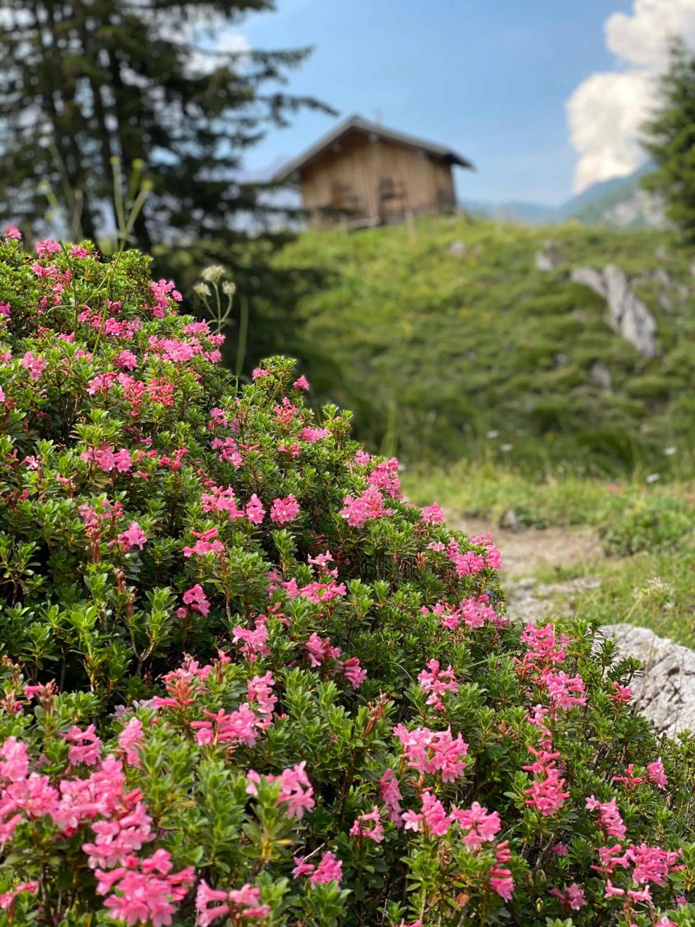 Natural landscape in Kristiania Lech