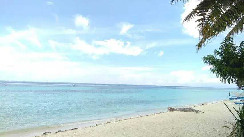 Panglao Grande Resort 邦劳美丽度假村 Panglao Grande Resort 邦劳美丽度假村