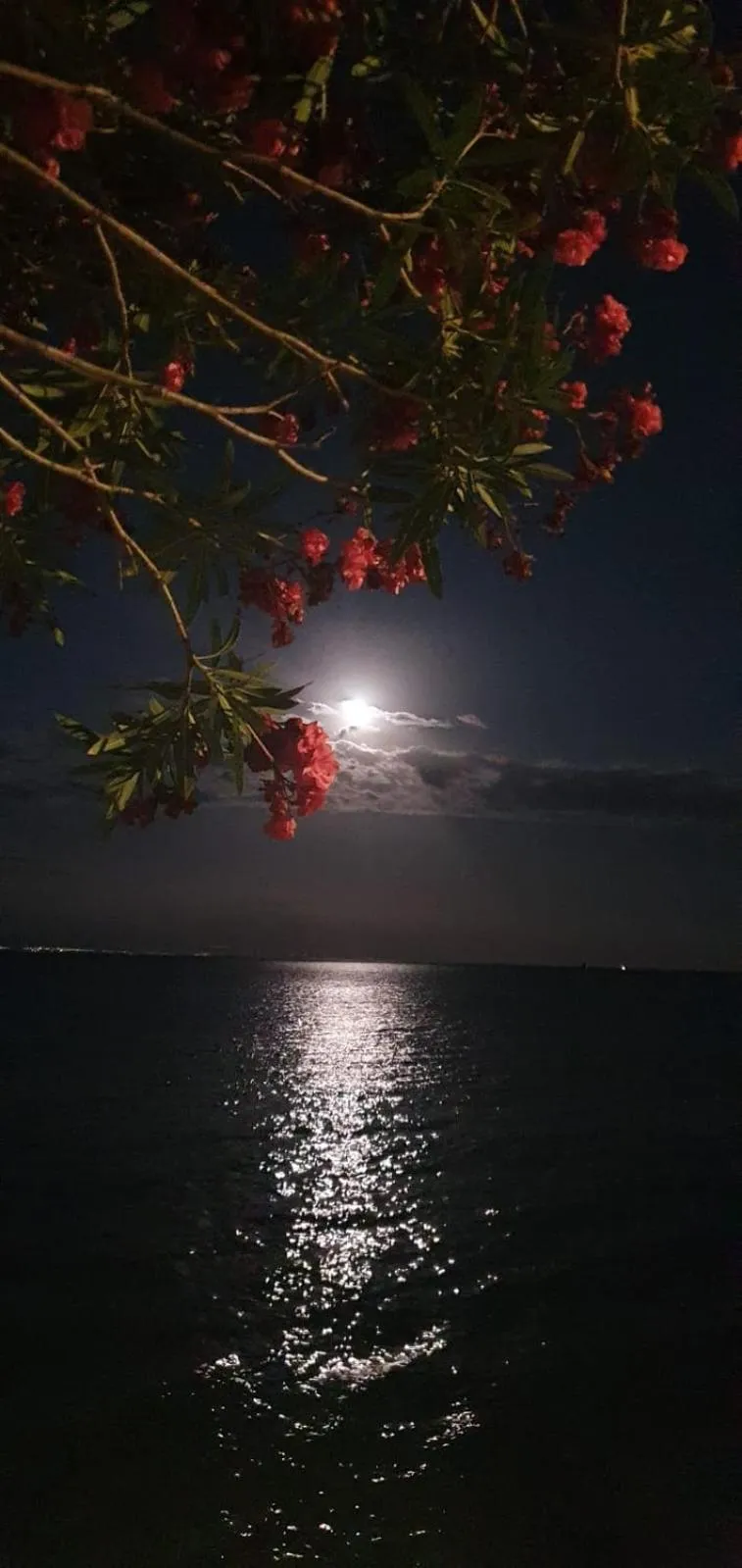 Hotel Ristorante Cavaliere