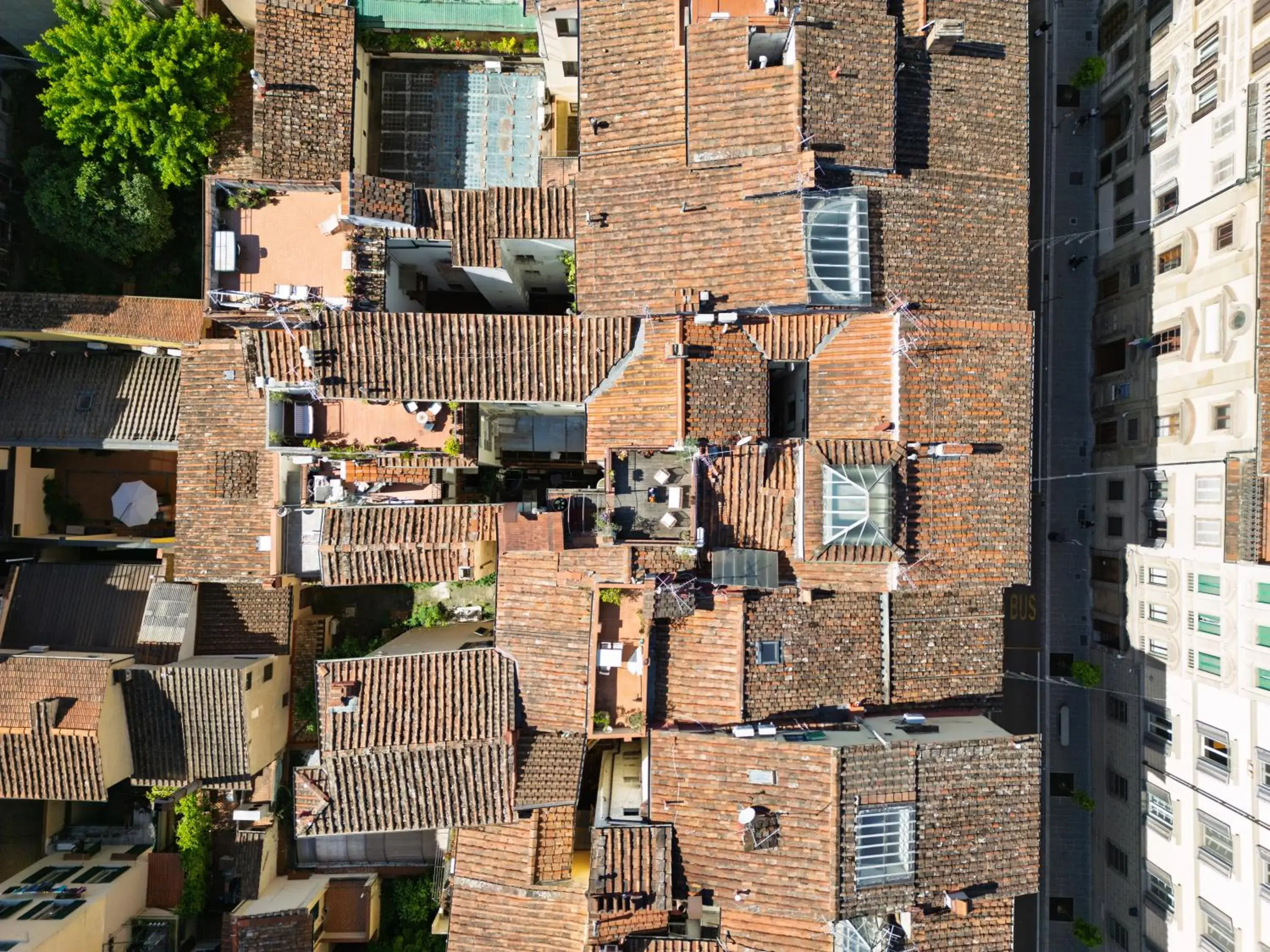City view in Residenza Conte di Cavour & Rooftop City view in Residenza Conte di Cavour & Rooftop