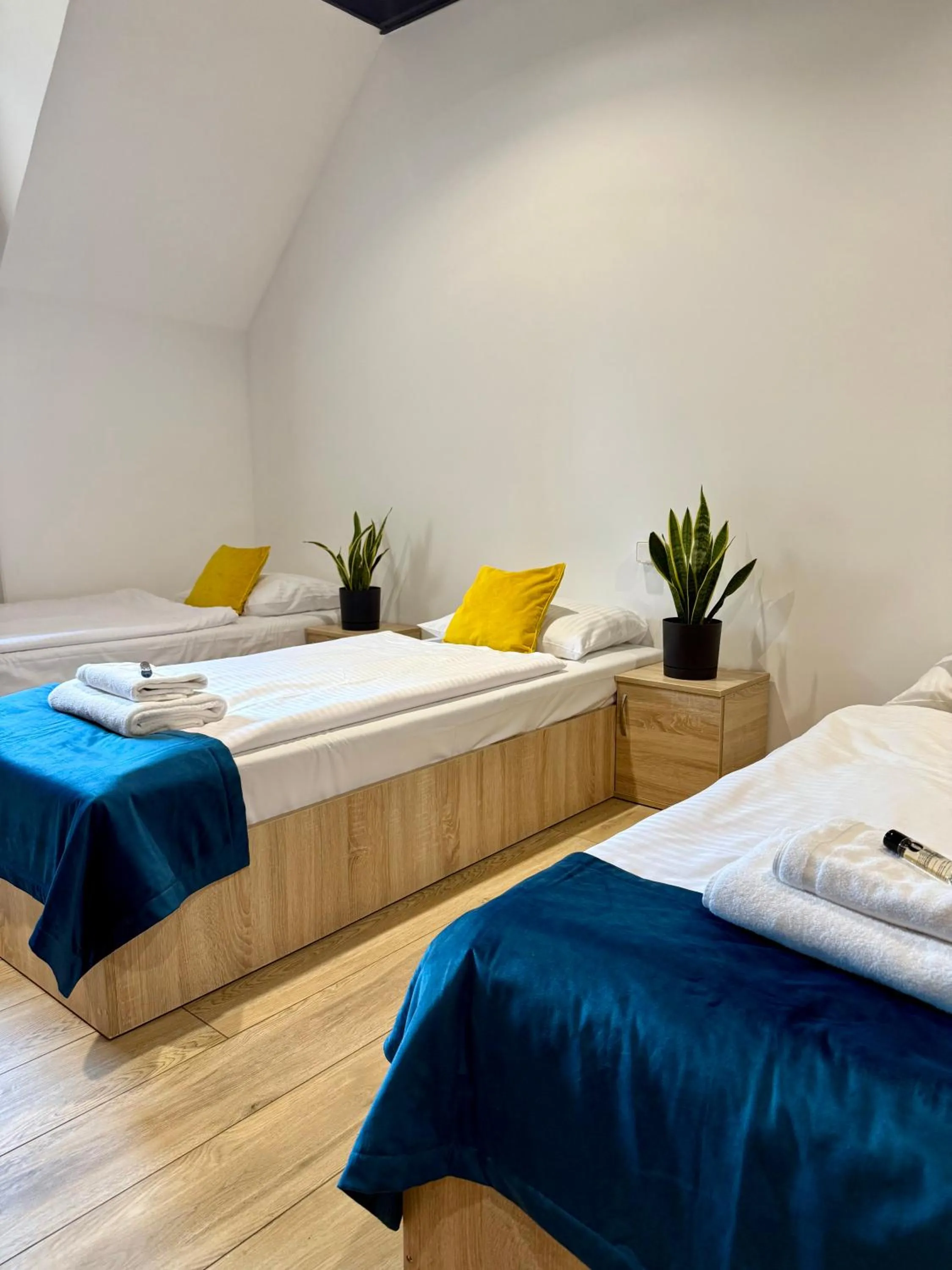 Twin Room in Podhalanin noclegi