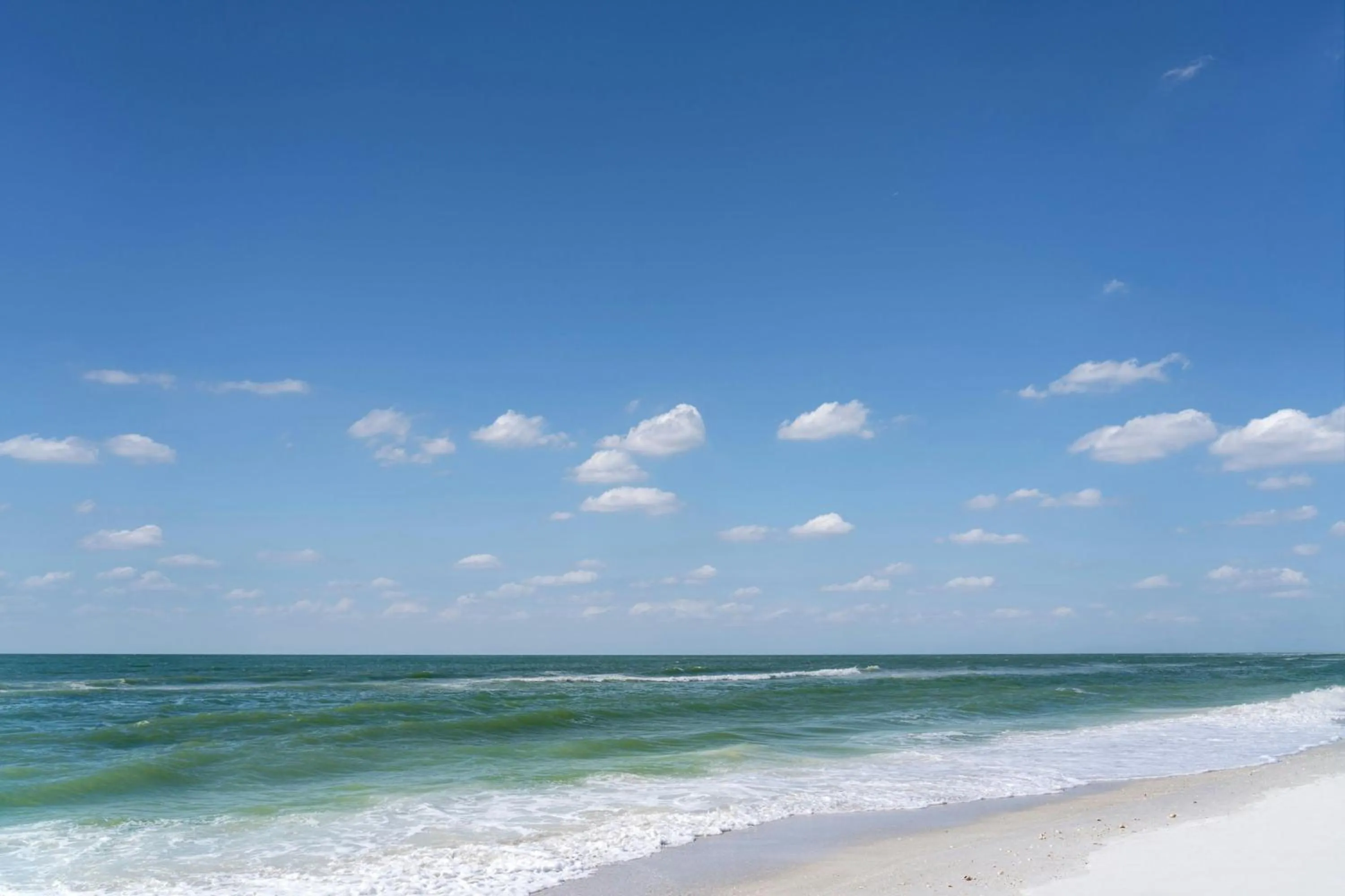 Beach in The Ritz-Carlton, Sarasota