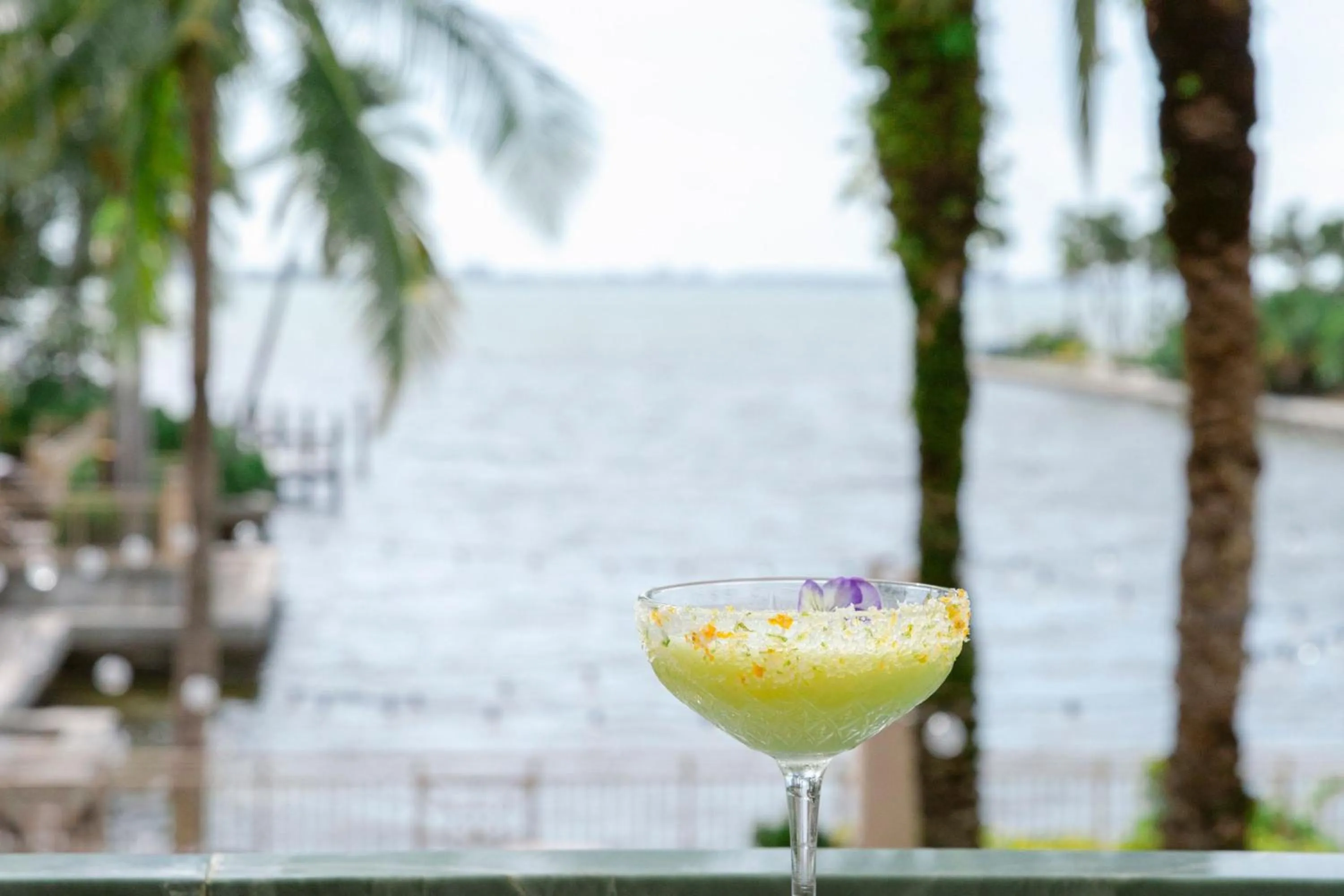 Restaurant/places to eat in The Ritz-Carlton, Sarasota