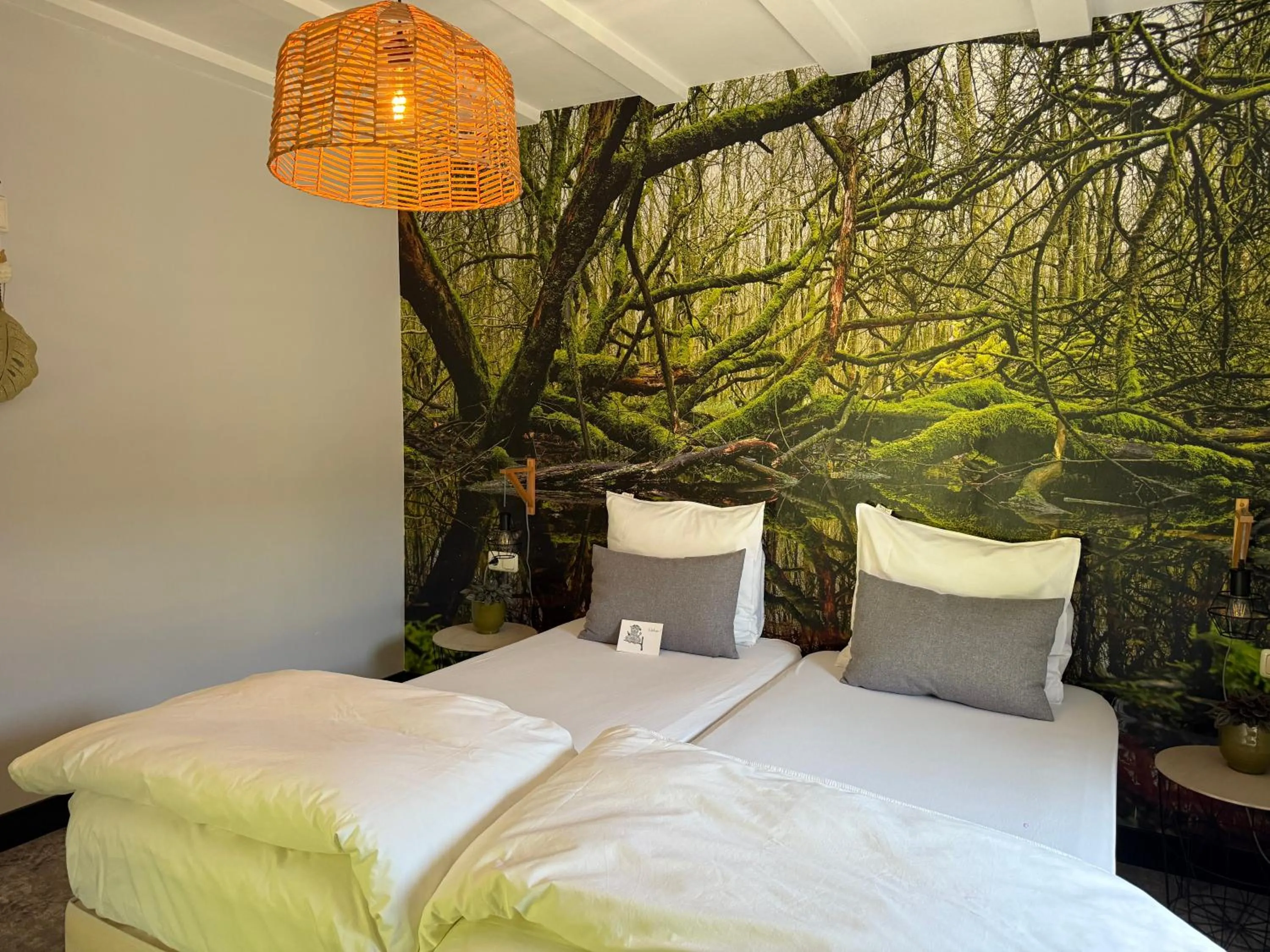 Bed Het Oelenest
