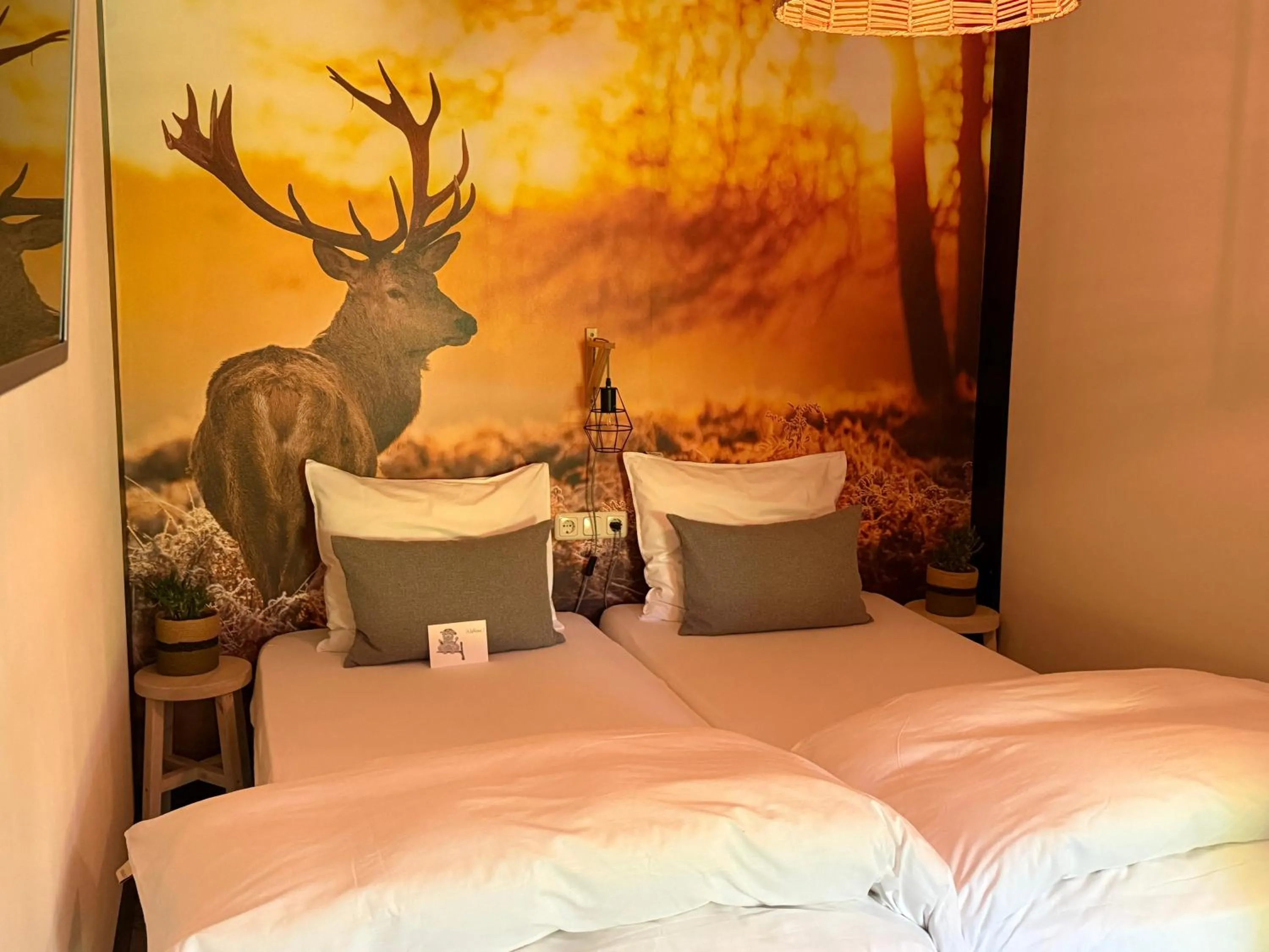 Bed Het Oelenest