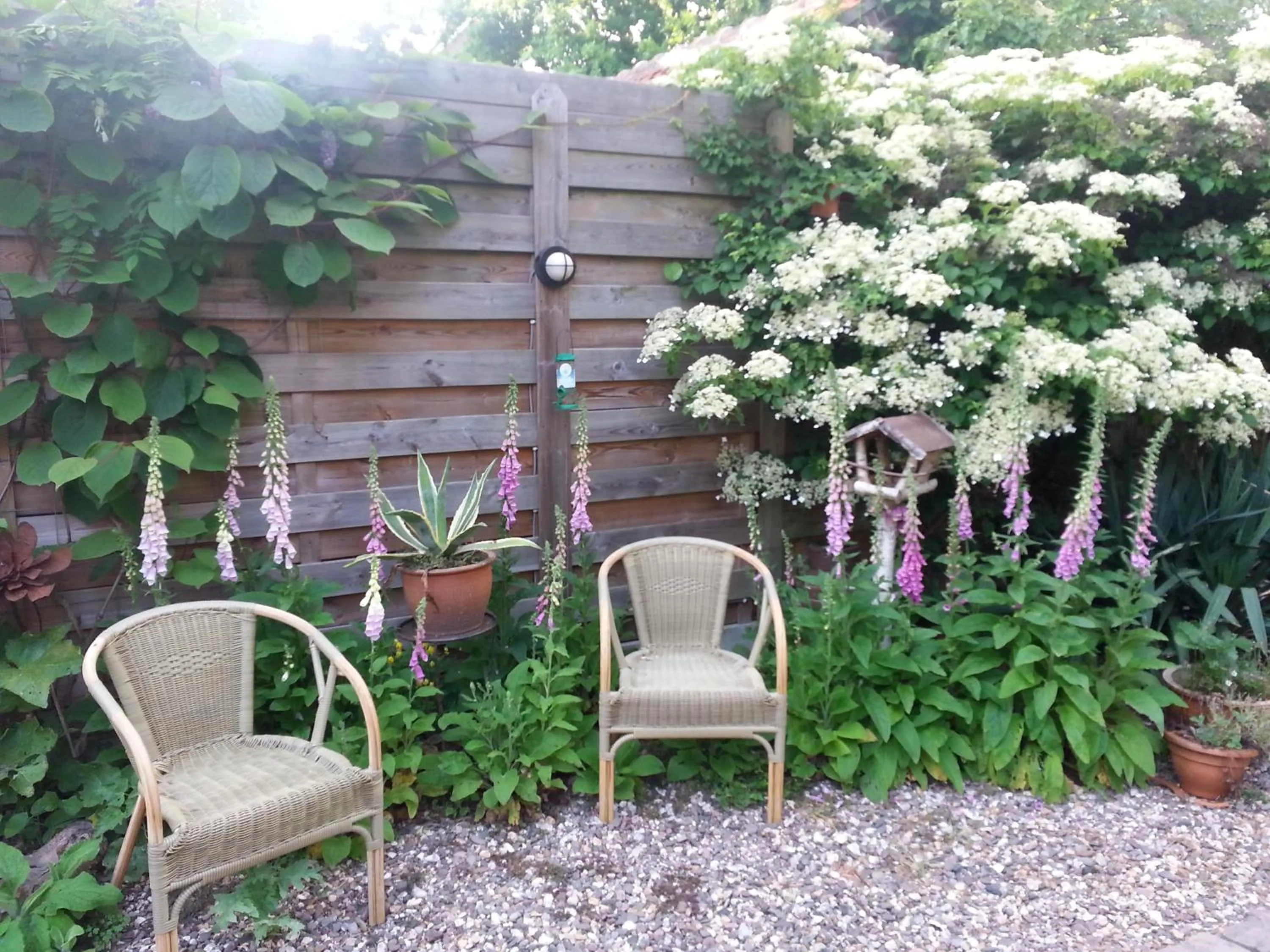 Garden in B & B De Pimpelmees