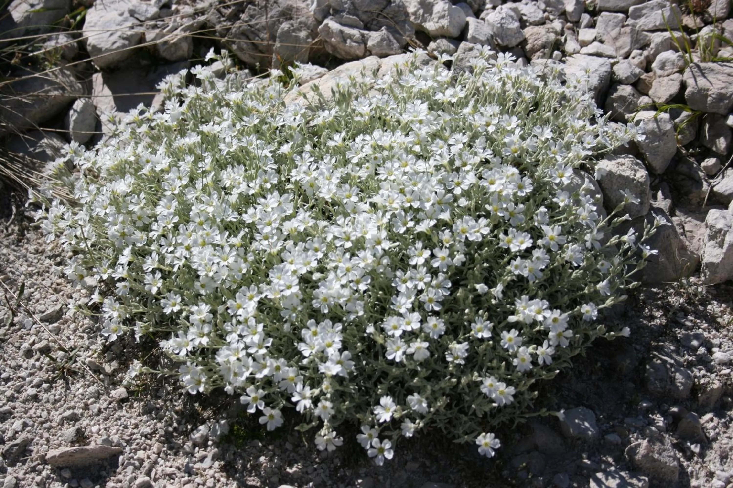 Decorative detail in Residenza La Torre