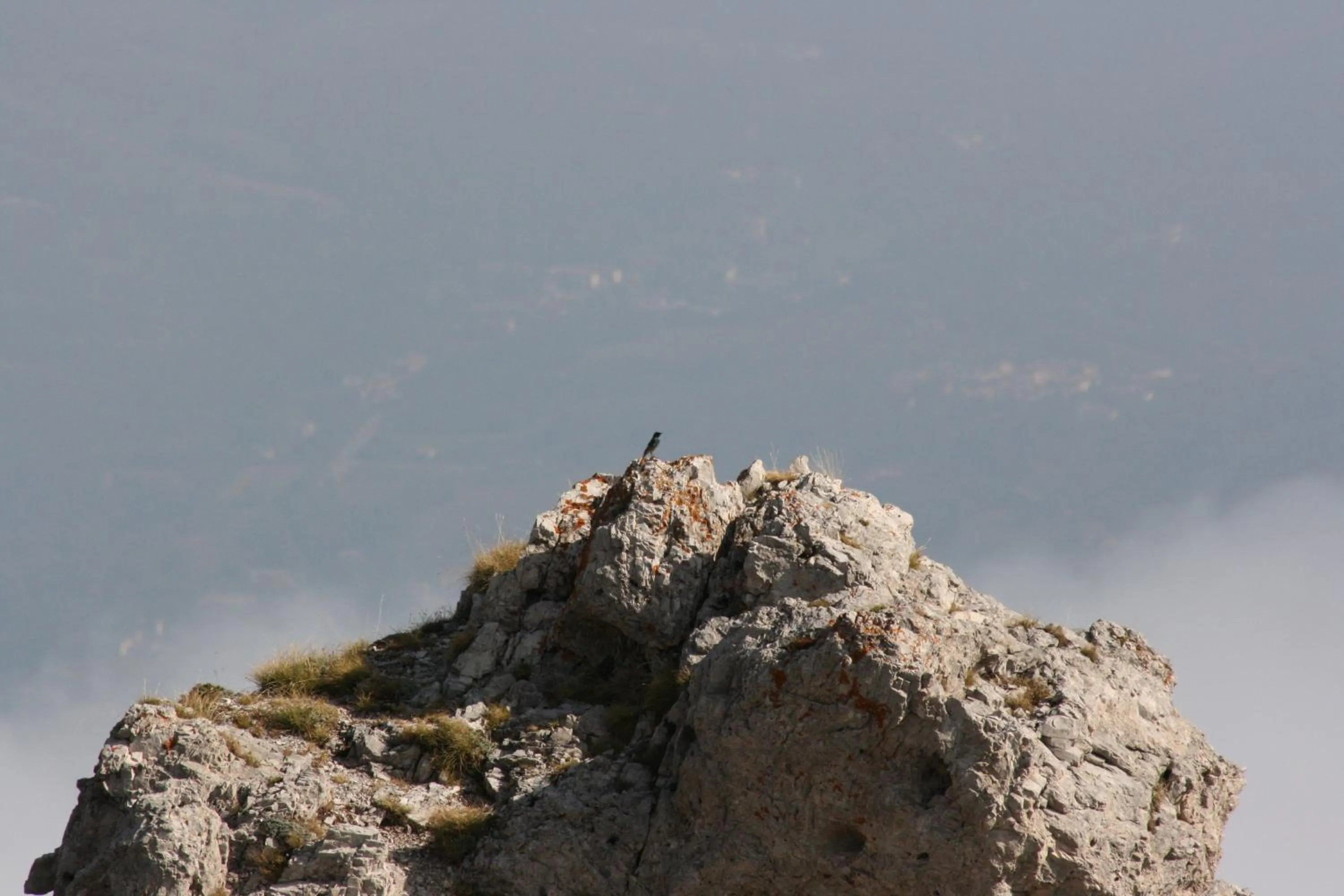 View (from property/room) in Residenza La Torre