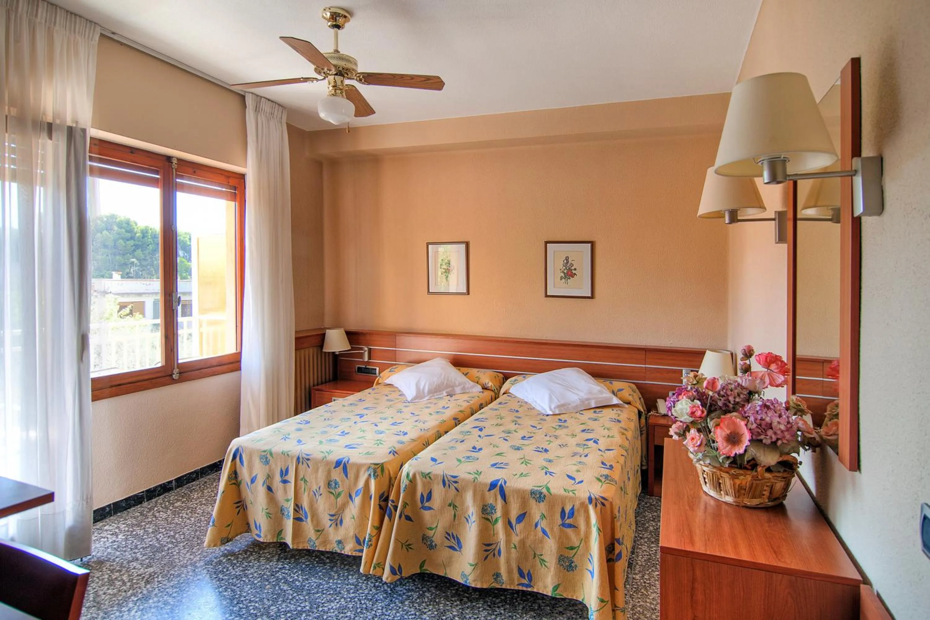 Photo of the whole room in Vista Alegre