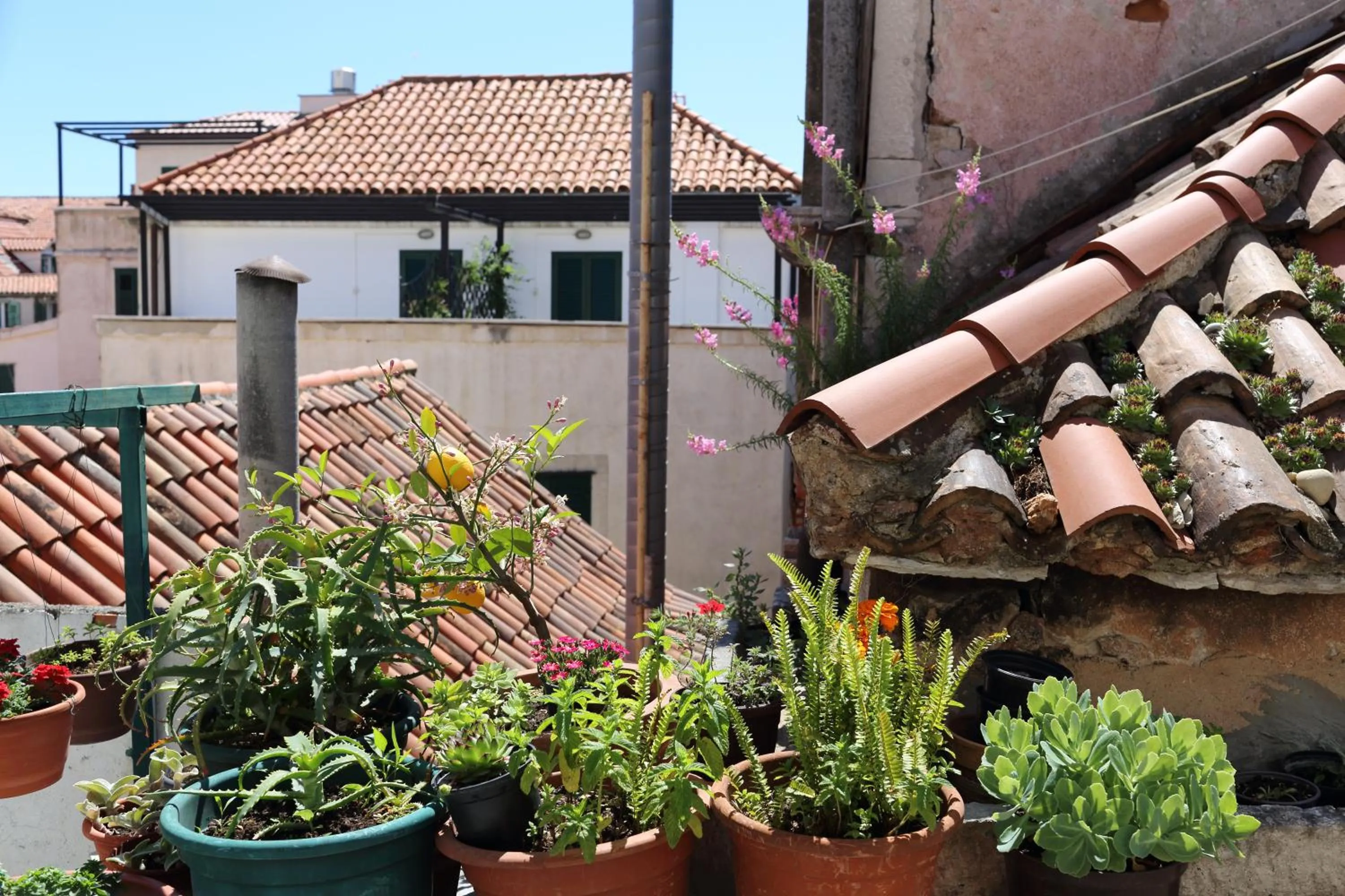 Balcony/Terrace in Malena Palace Experience