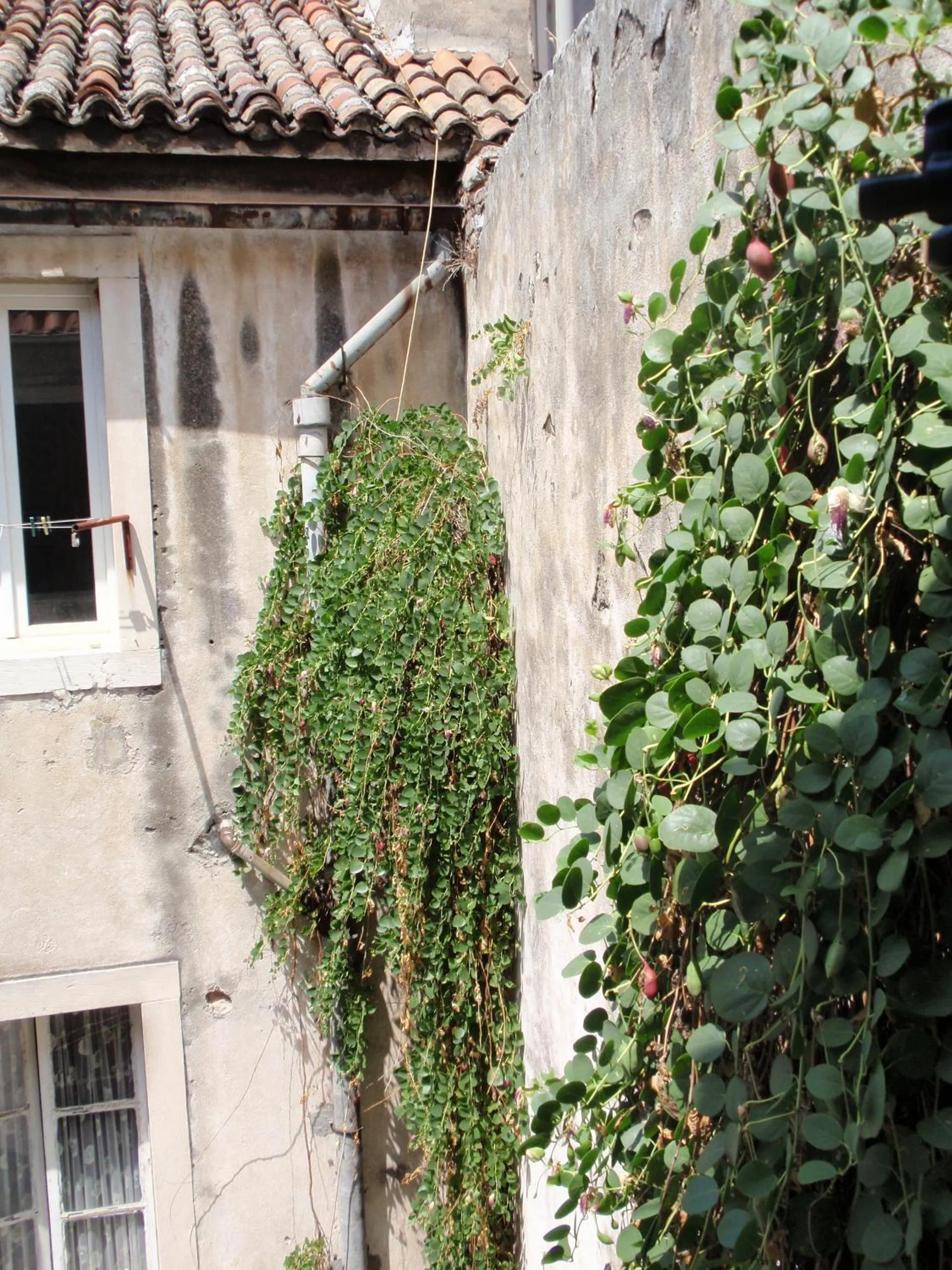 Property building in Malena Palace Experience