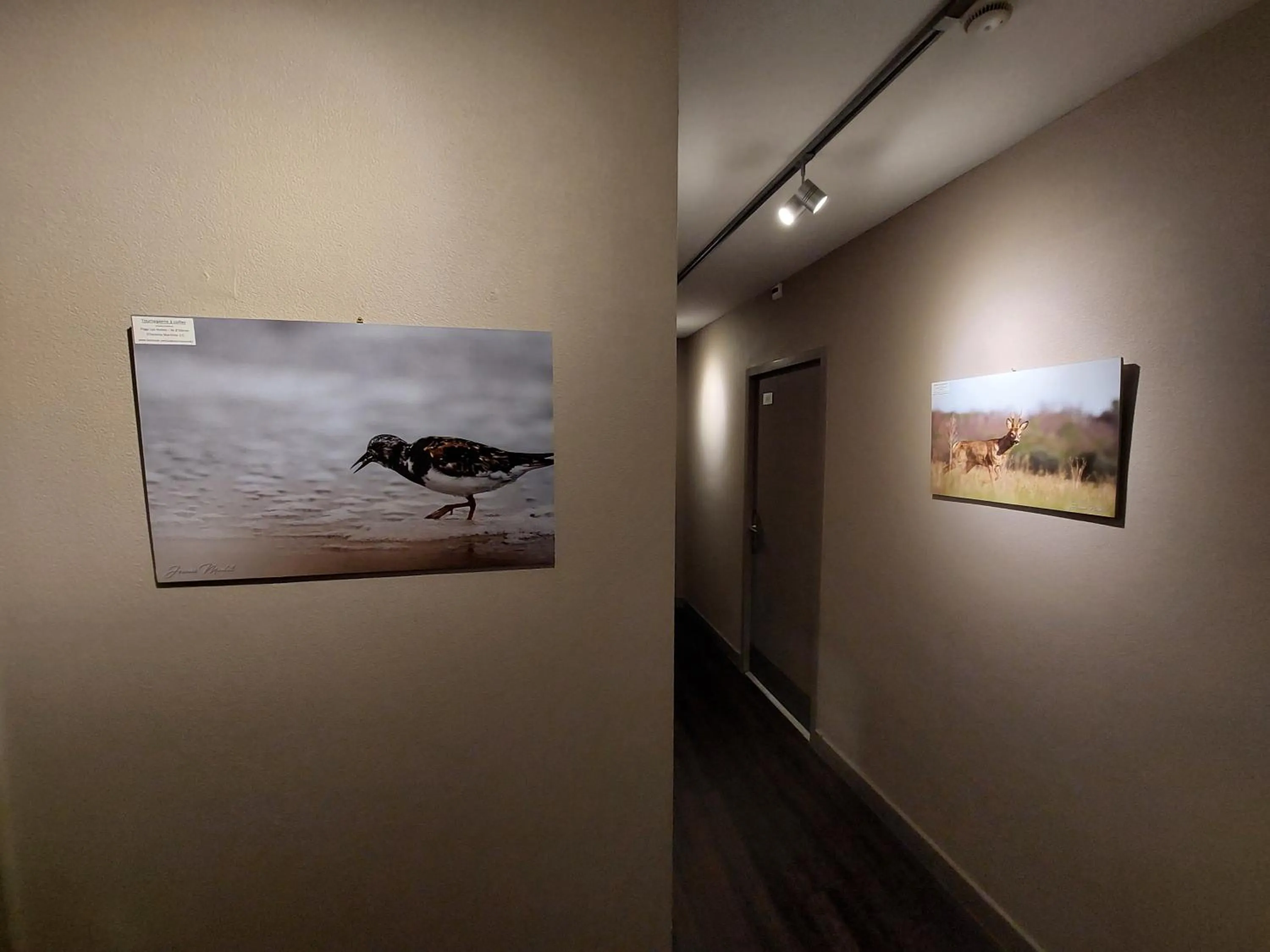 Logis Hôtel - Les Pasteliers