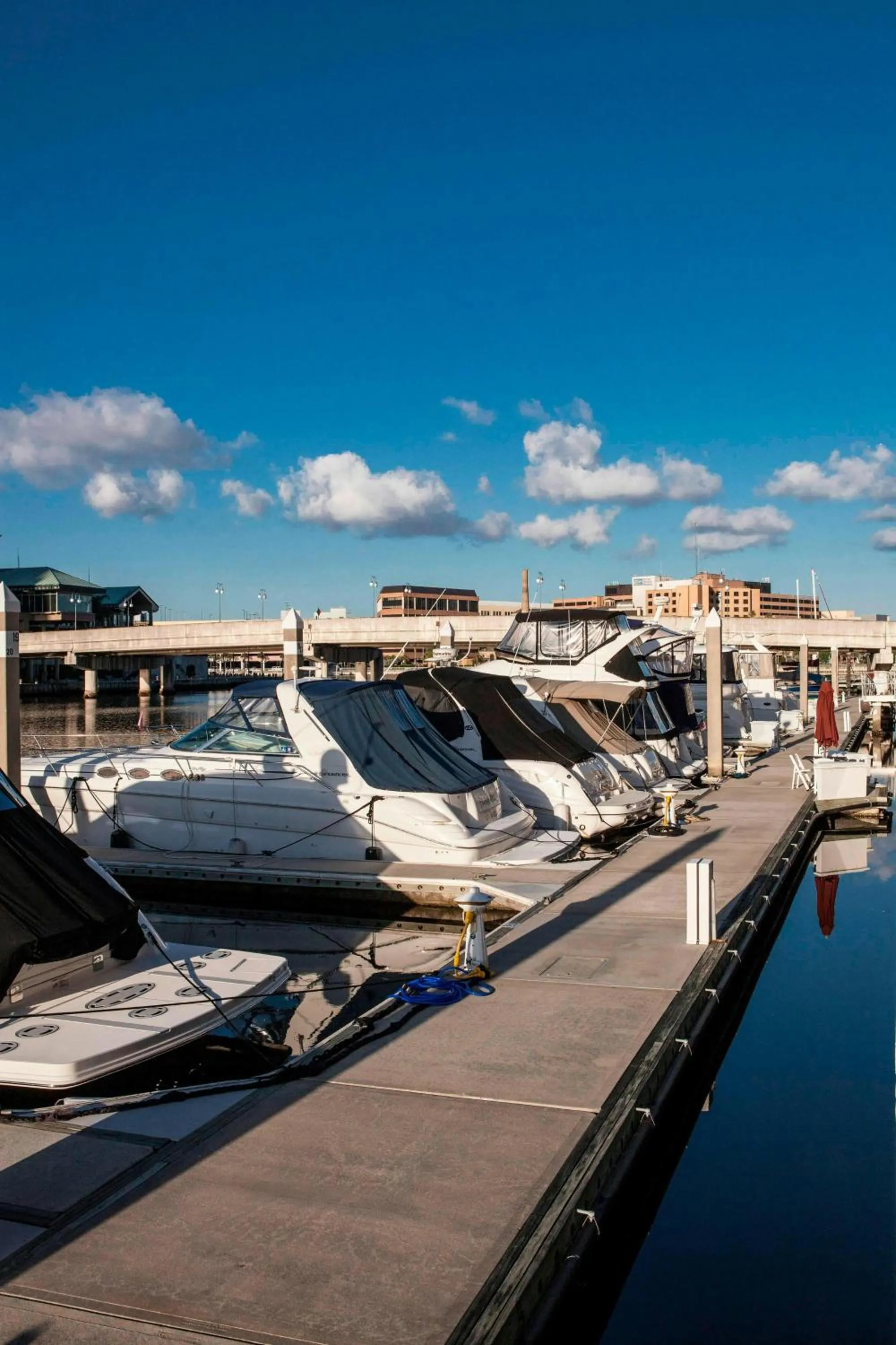 Other in Tampa Marriott Water Street