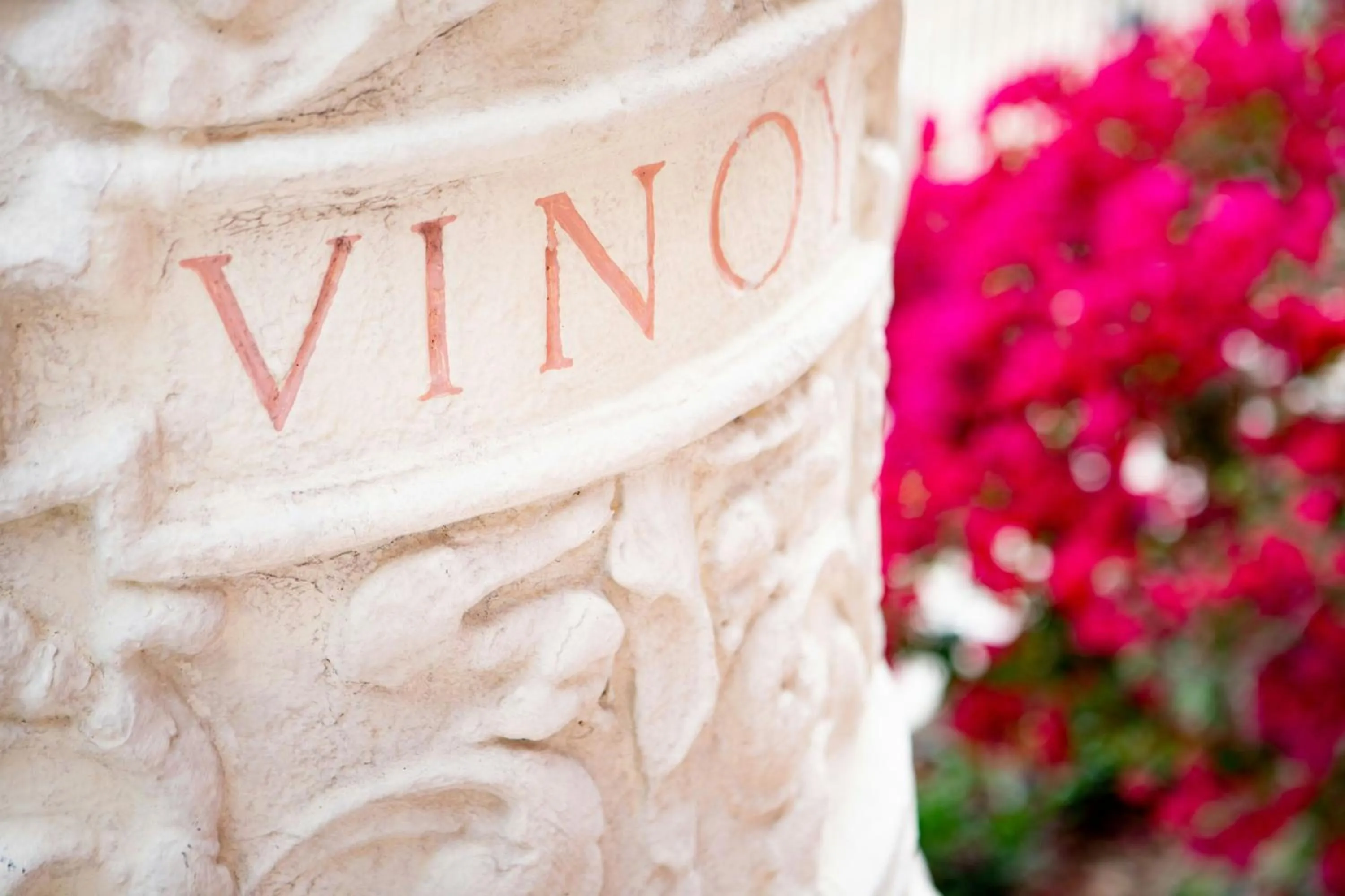 View (from property/room) in The Vinoy Resort & Golf Club, Autograph Collection