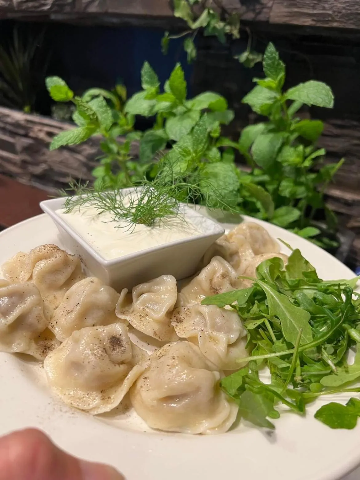 Restaurant/places to eat in Płonia Resort