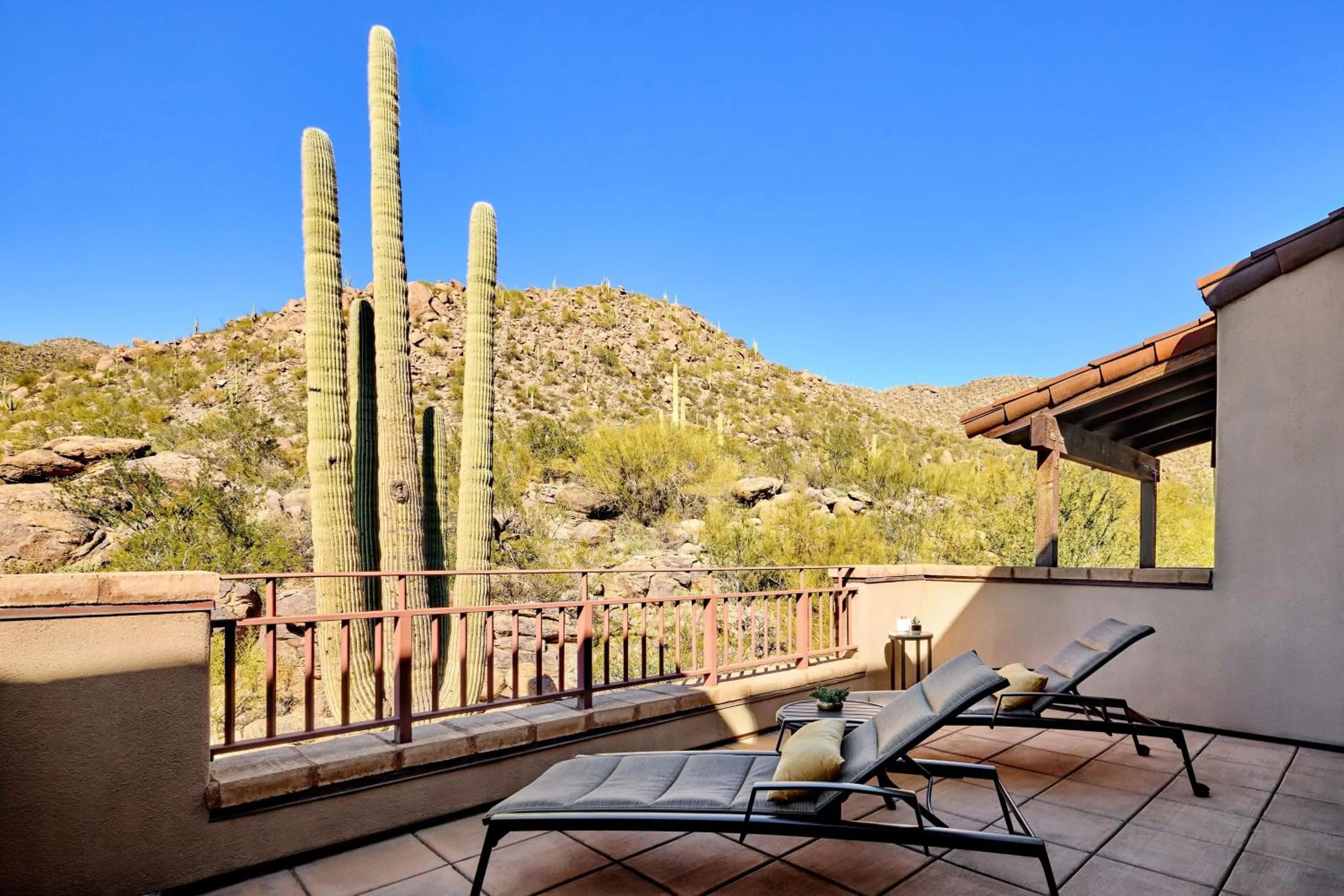 Photo of the whole room in The Ritz-Carlton, Dove Mountain