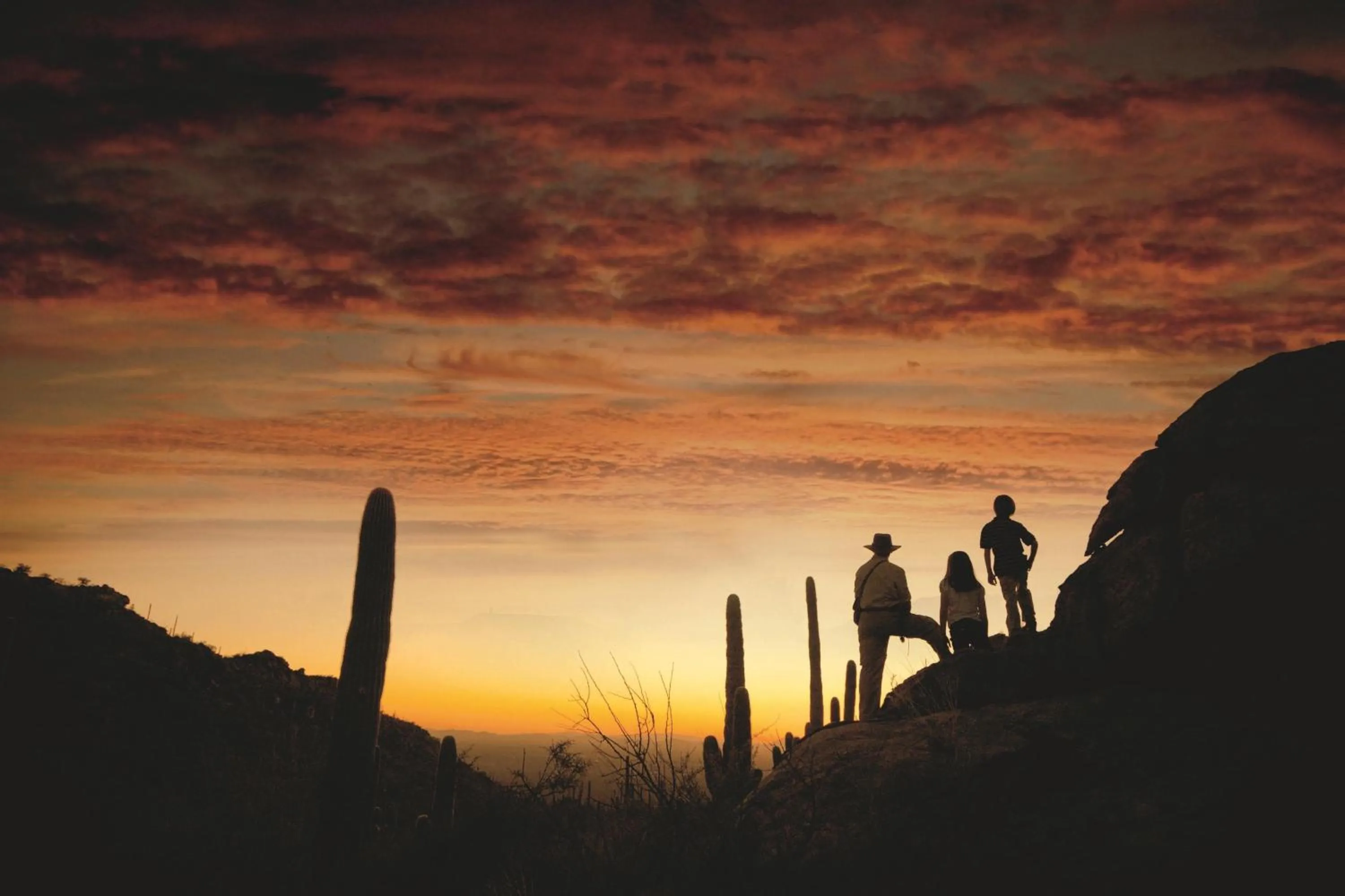 Other in The Ritz-Carlton, Dove Mountain