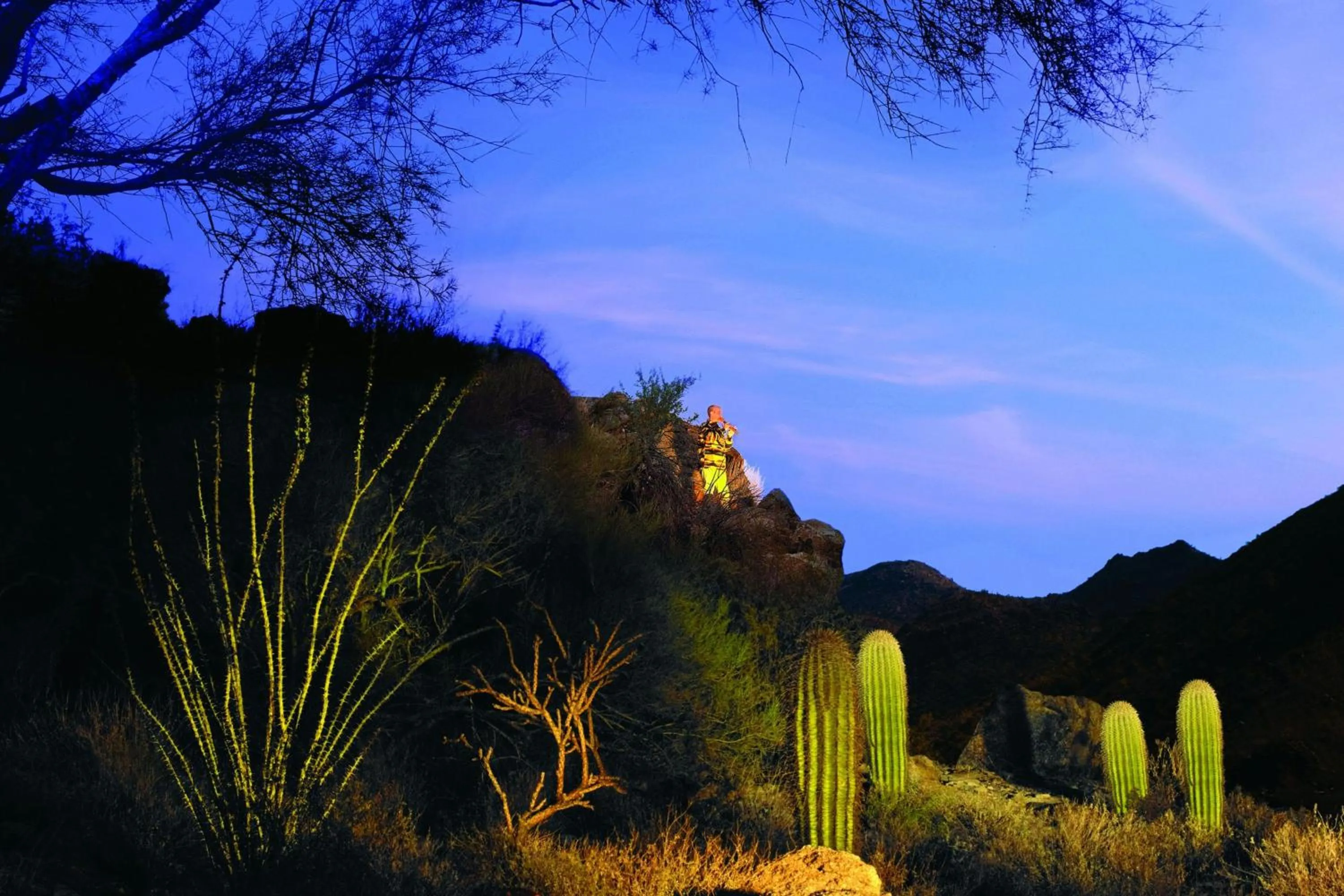Other in The Ritz-Carlton, Dove Mountain