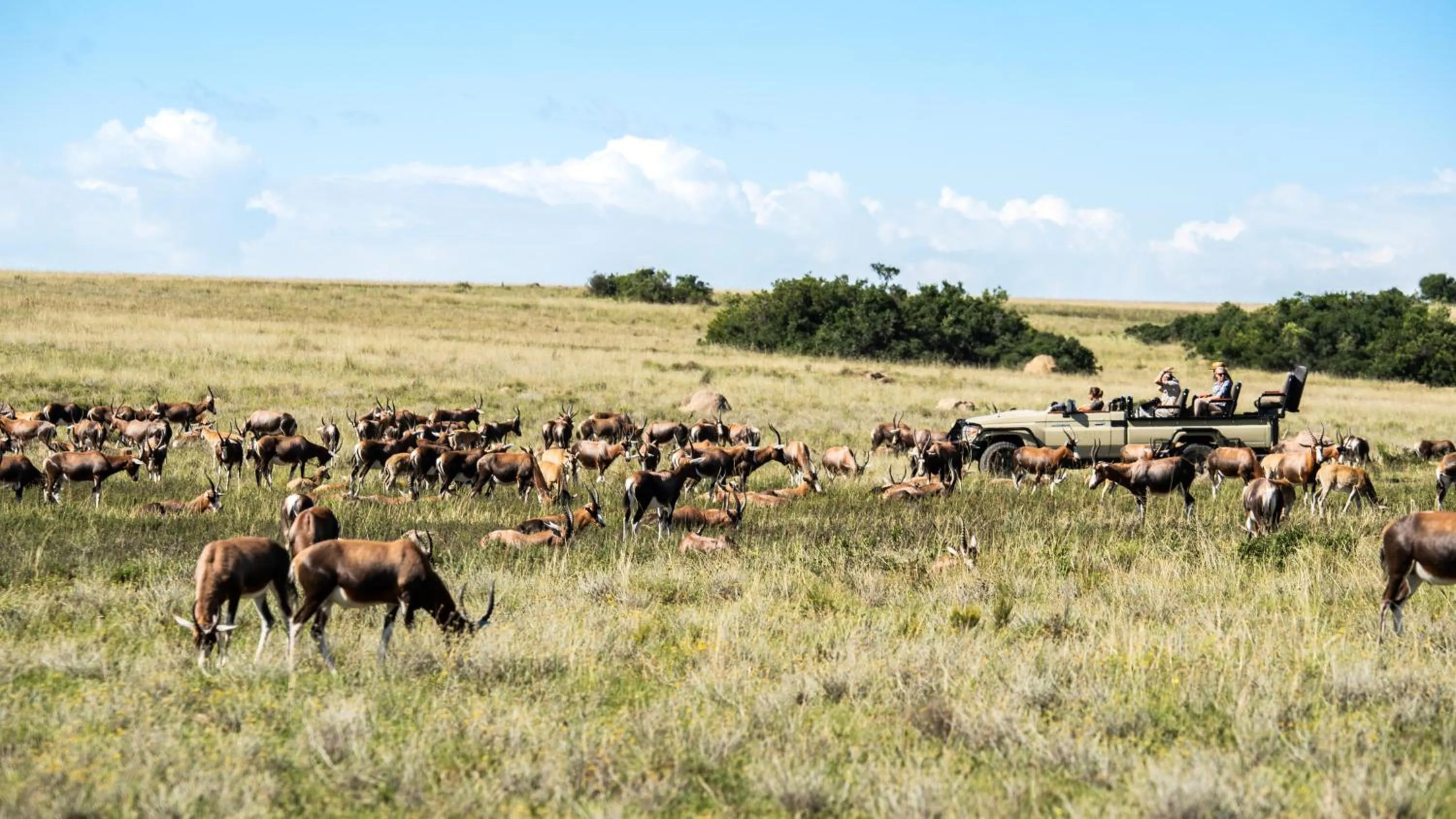 Lalibela Wildlife Reserve - Inzolo Lodge