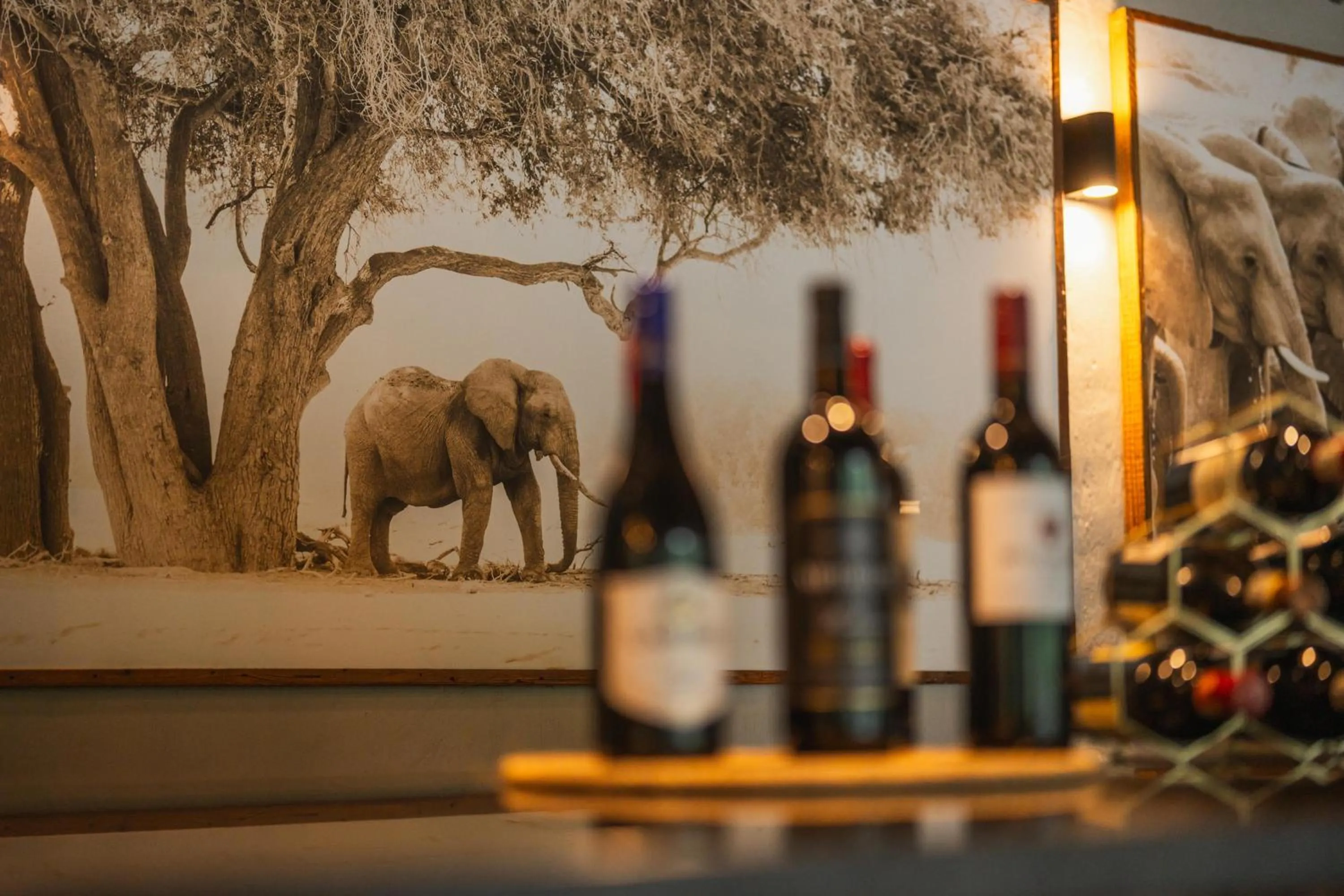 Lalibela Wildlife Reserve - Inzolo Lodge