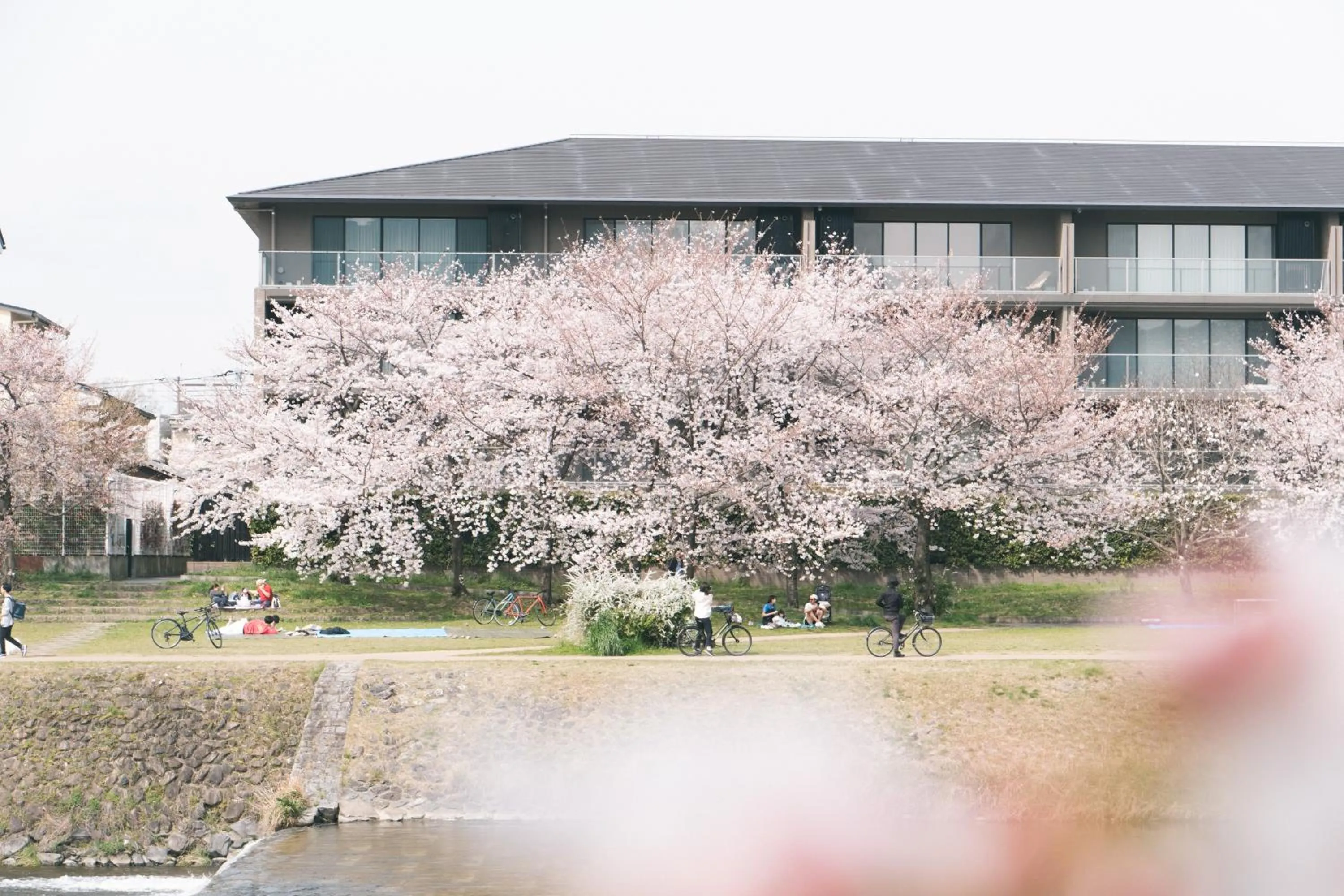 Off site in Hostel Niniroom