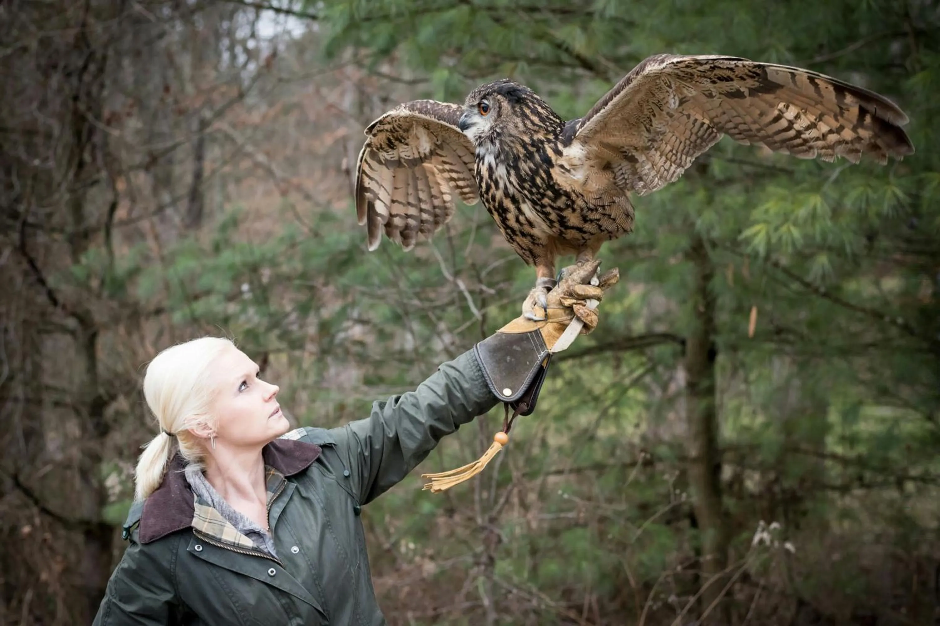 Other in The Ritz-Carlton Reynolds, Lake Oconee