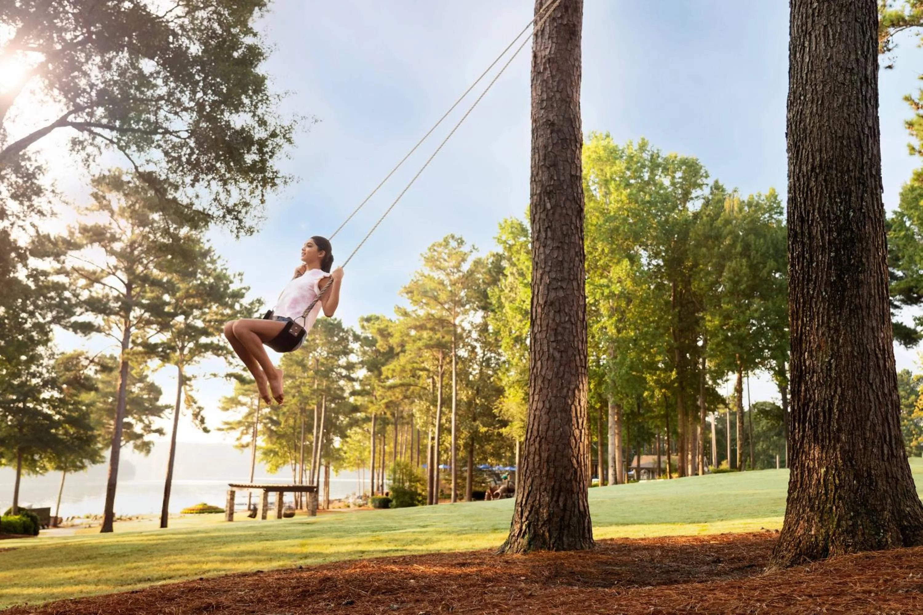 Other in The Ritz-Carlton Reynolds, Lake Oconee