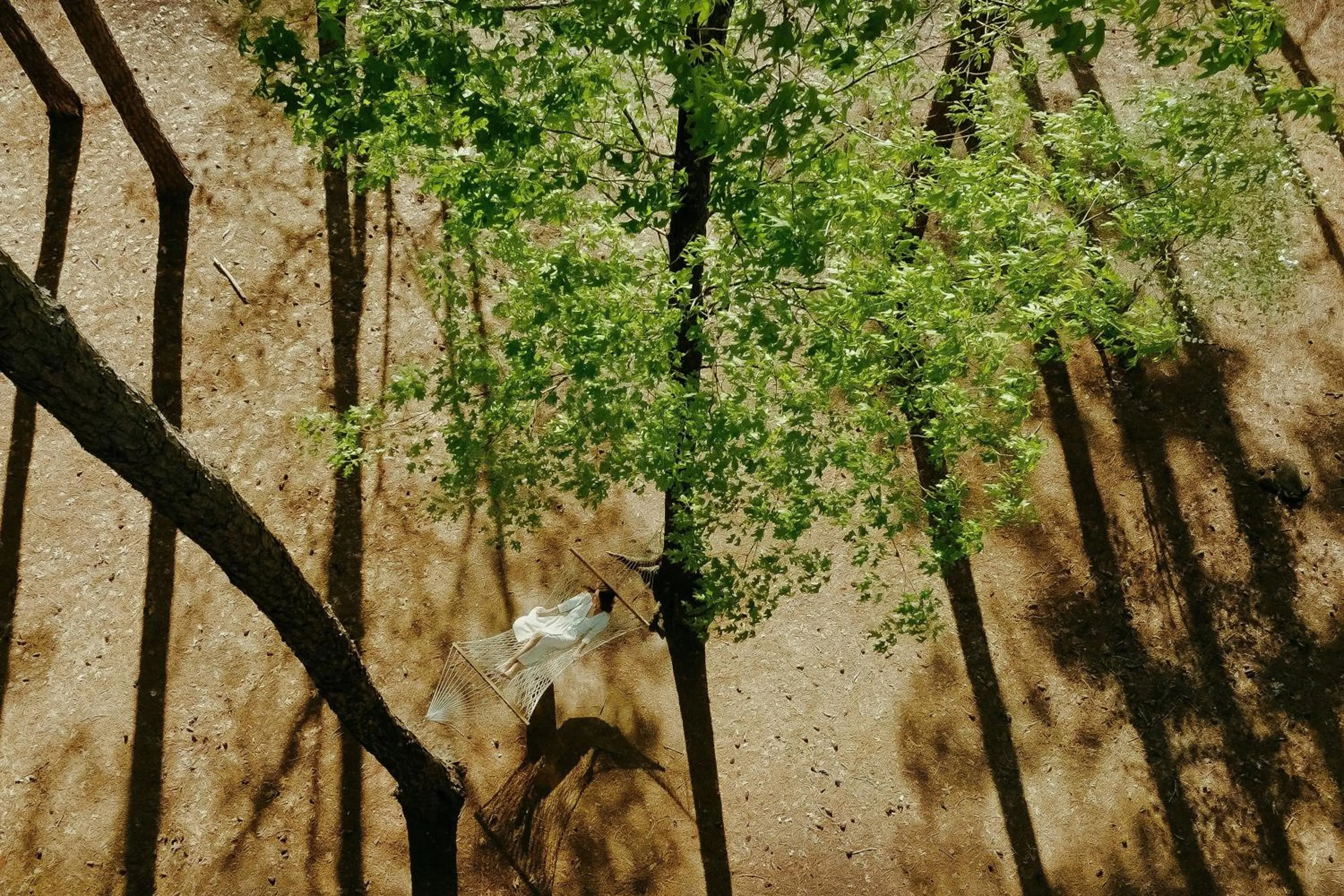 Other in The Ritz-Carlton Reynolds, Lake Oconee