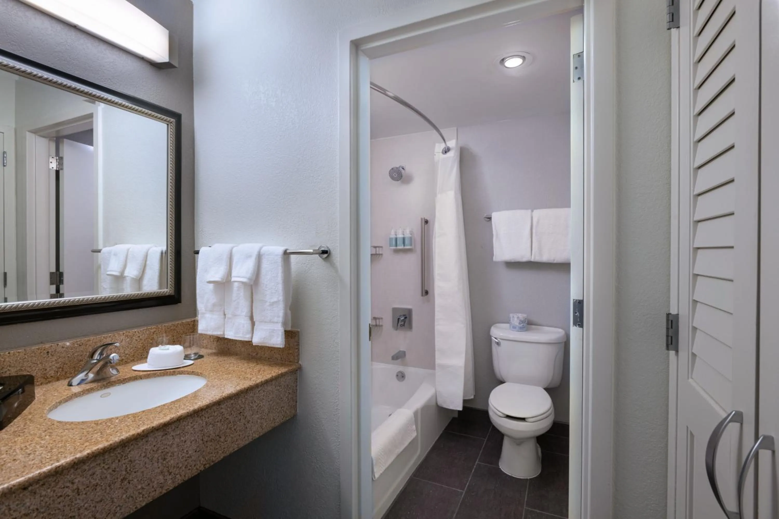 Bathroom in Courtyard by Marriott Dallas Arlington Entertainment District
