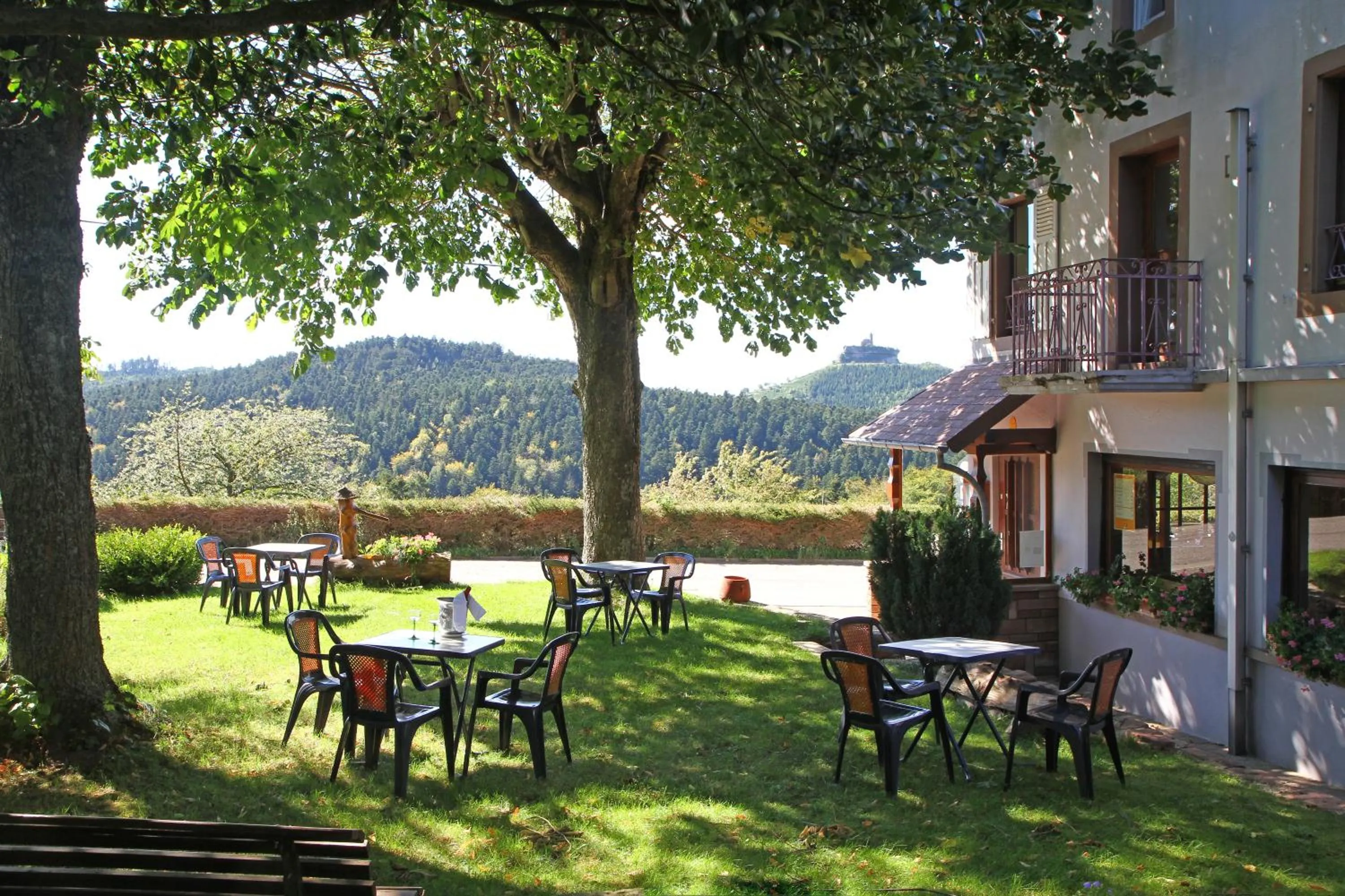 Garden in Logis Hotel & Restaurant - Les Vosges
