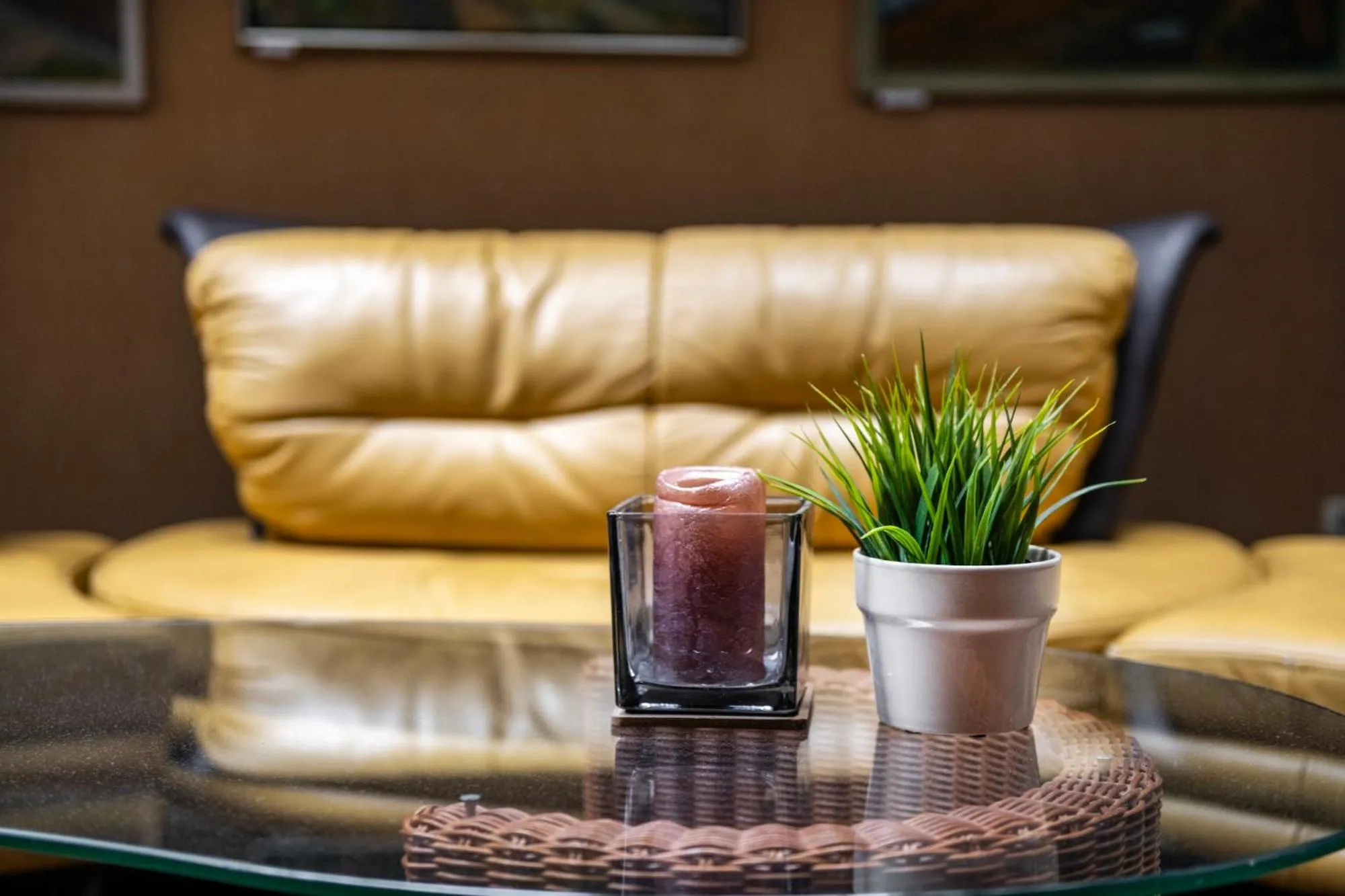 Area and facilities in Art City Inn